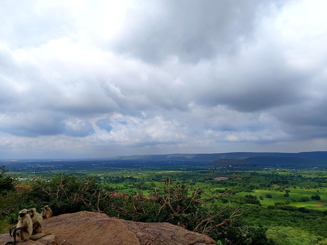 Where to Stay in Jawai: Camps Among the Granite Hills