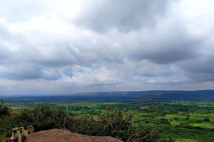 Where to Stay in Jawai: Camps Among the Granite Hills