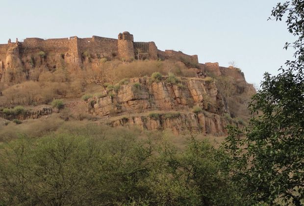 Ranthambore Fort: The Thousand-Year-Old Fortress Above the Tigers