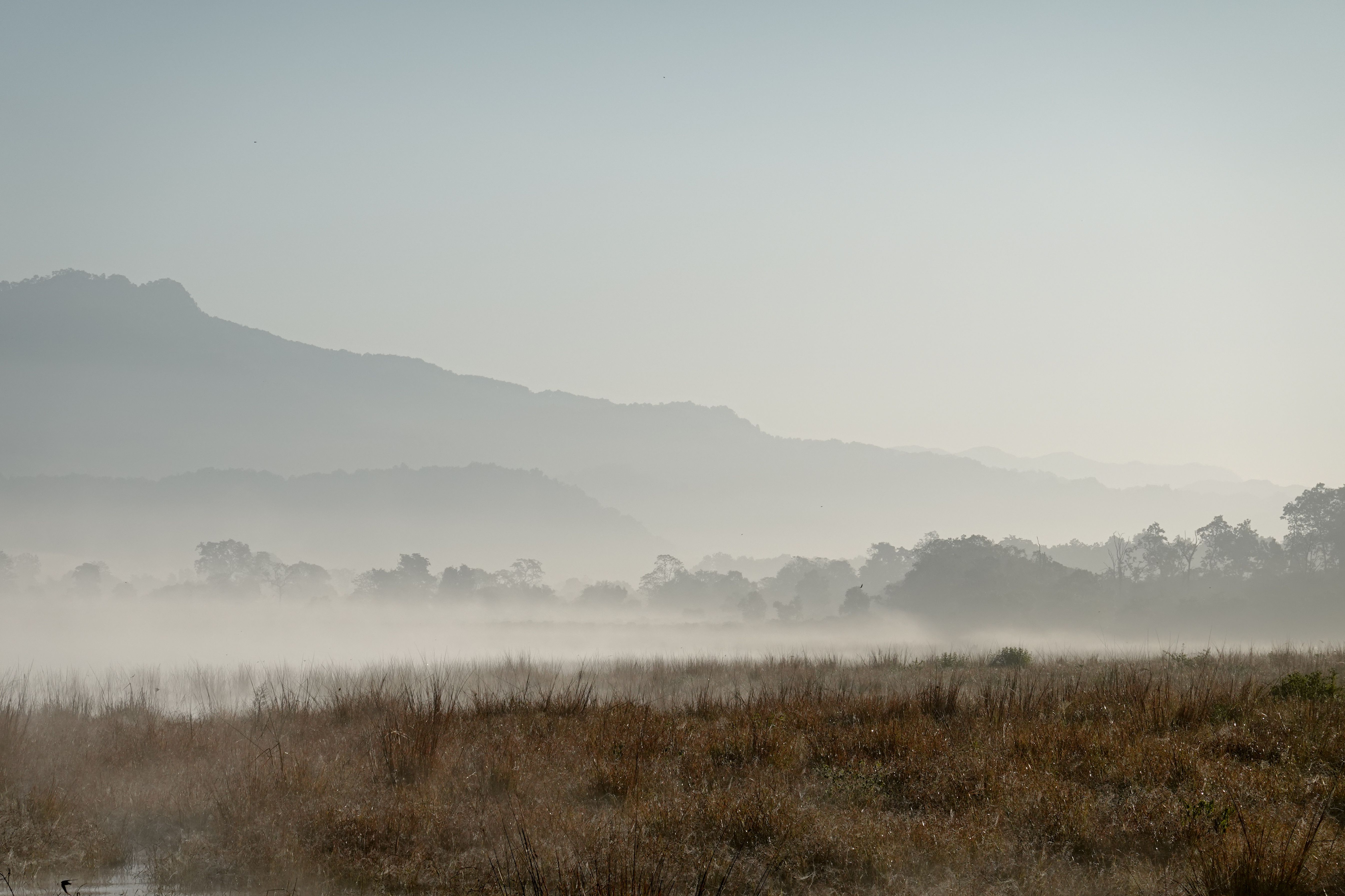 Best Time to Visit Jim Corbett National Park
