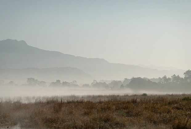 Best Time to Visit Jim Corbett National Park