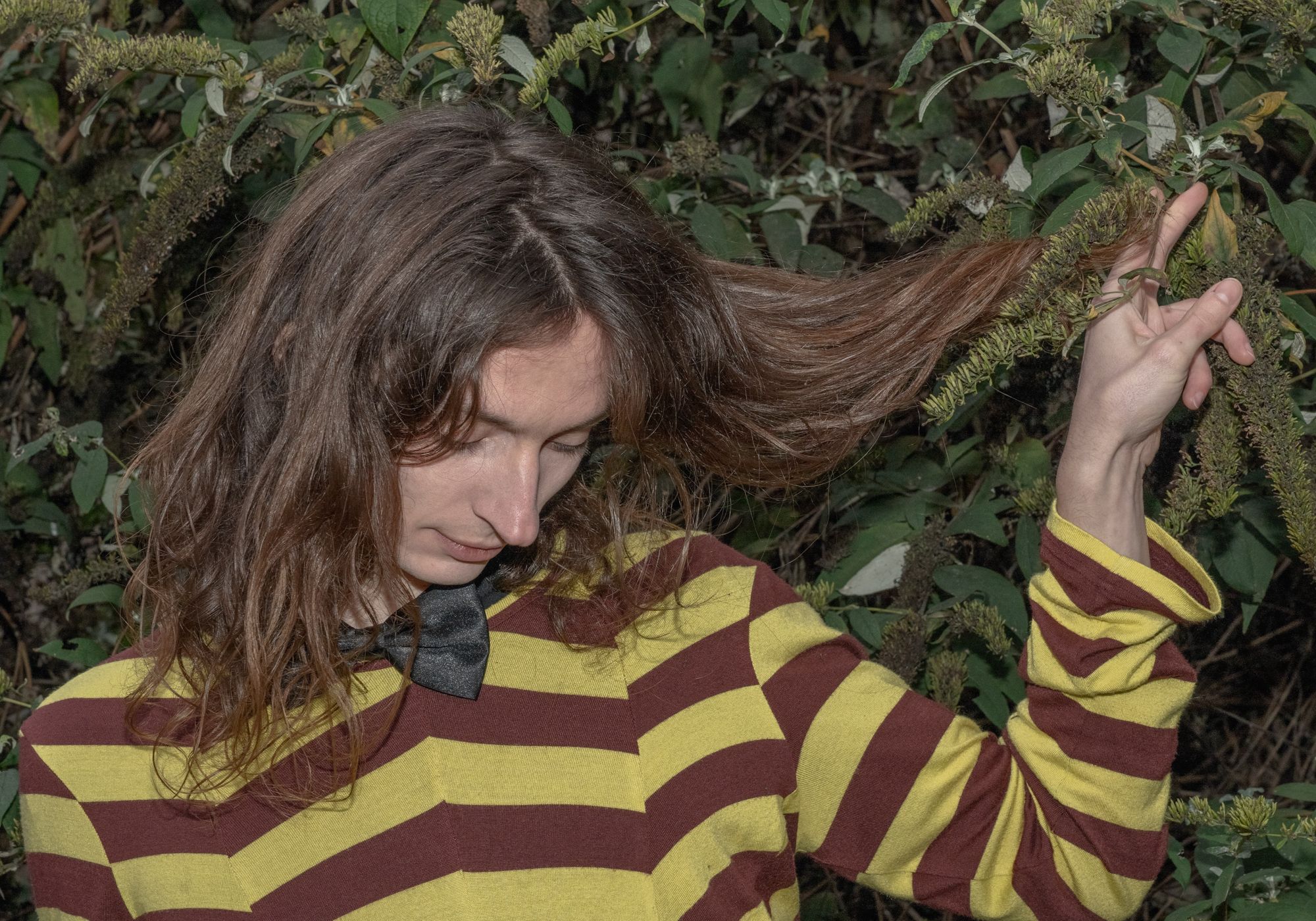 Picture of bdstf, image 2 of 4