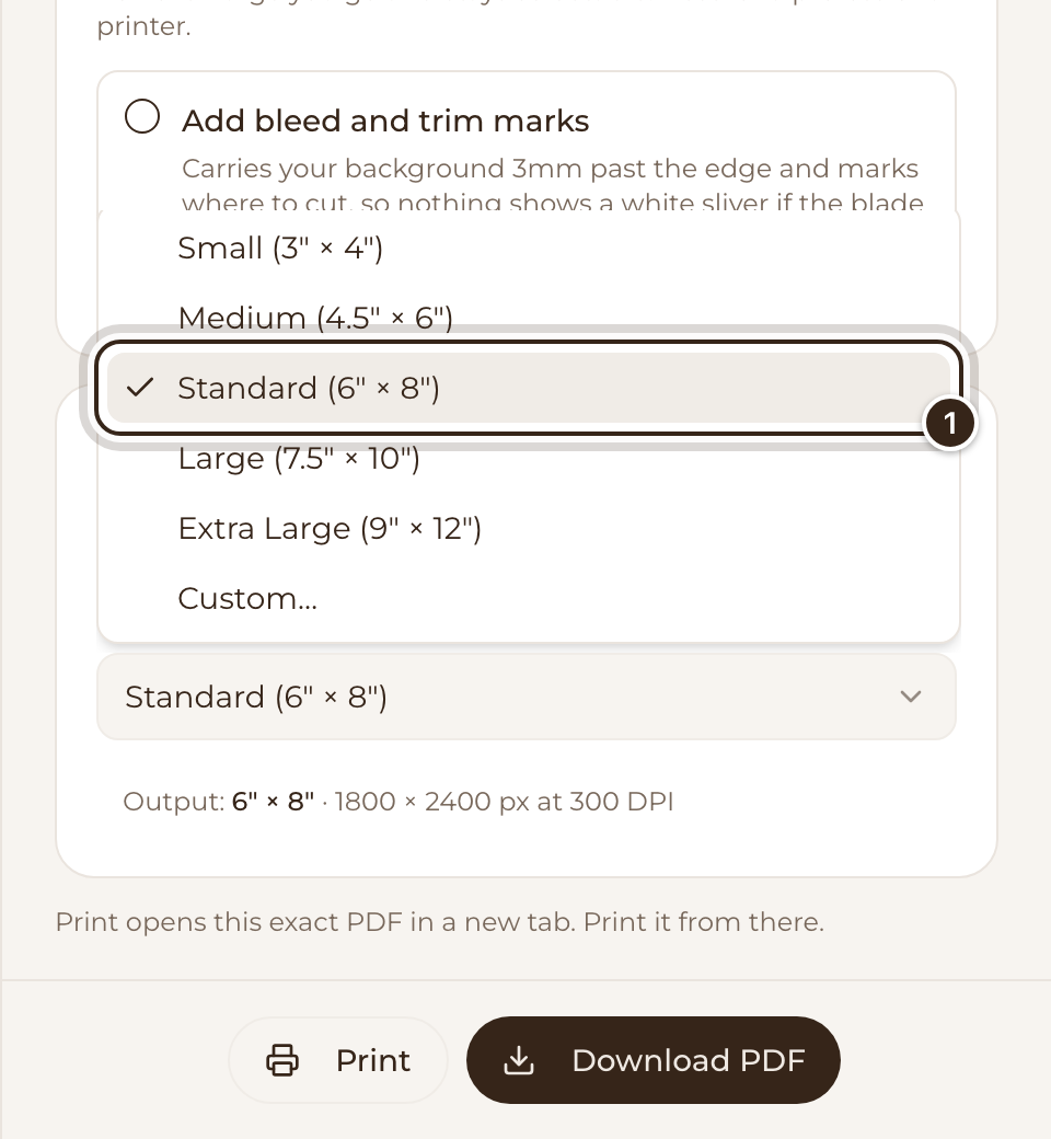 The Size list open, from Small to Custom, with Standard marked
