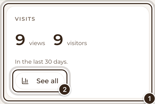 The Visits box in Site, with its numbers and See all marked