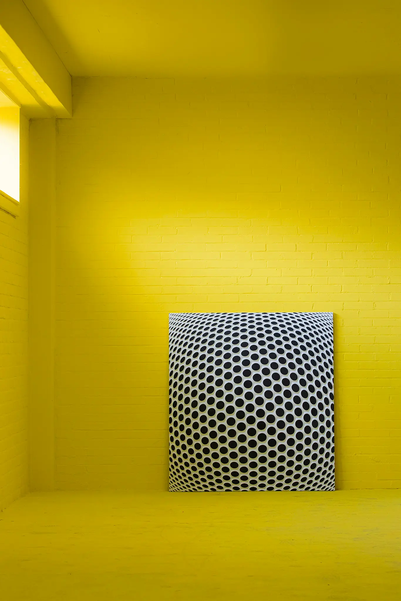Ommatidium