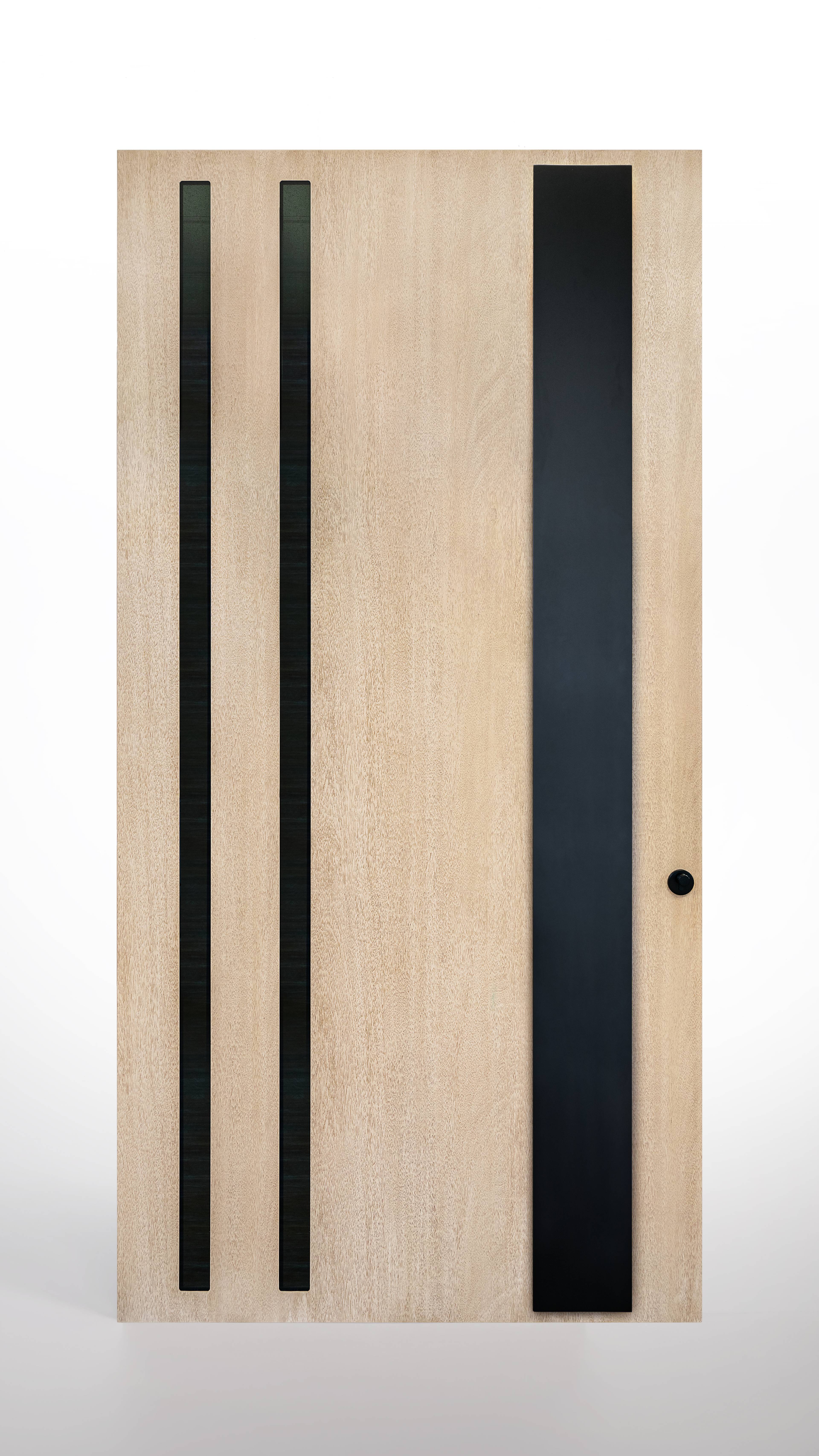 Stealth  - Fiberglass Door