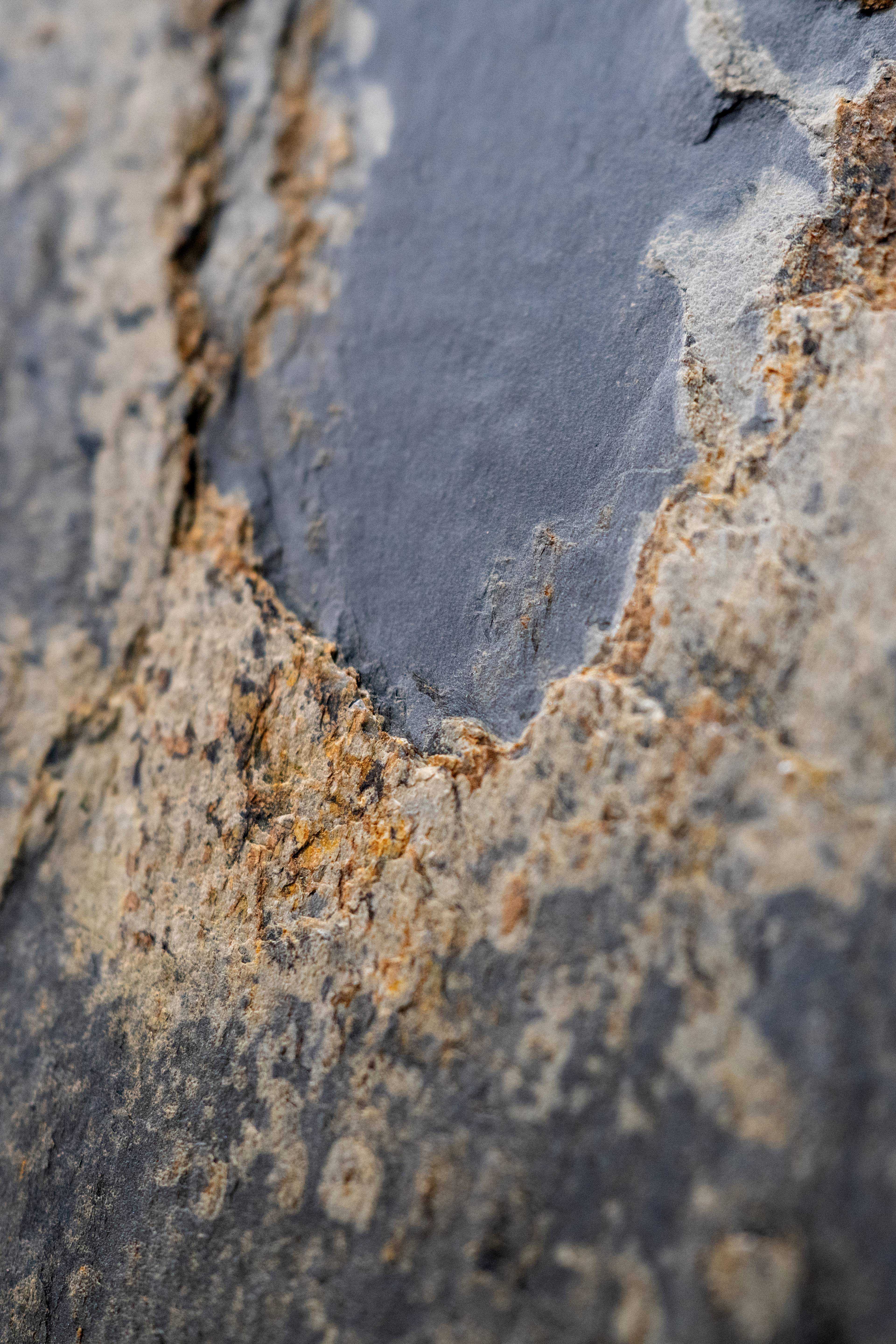 Banff - Fiberglass Door