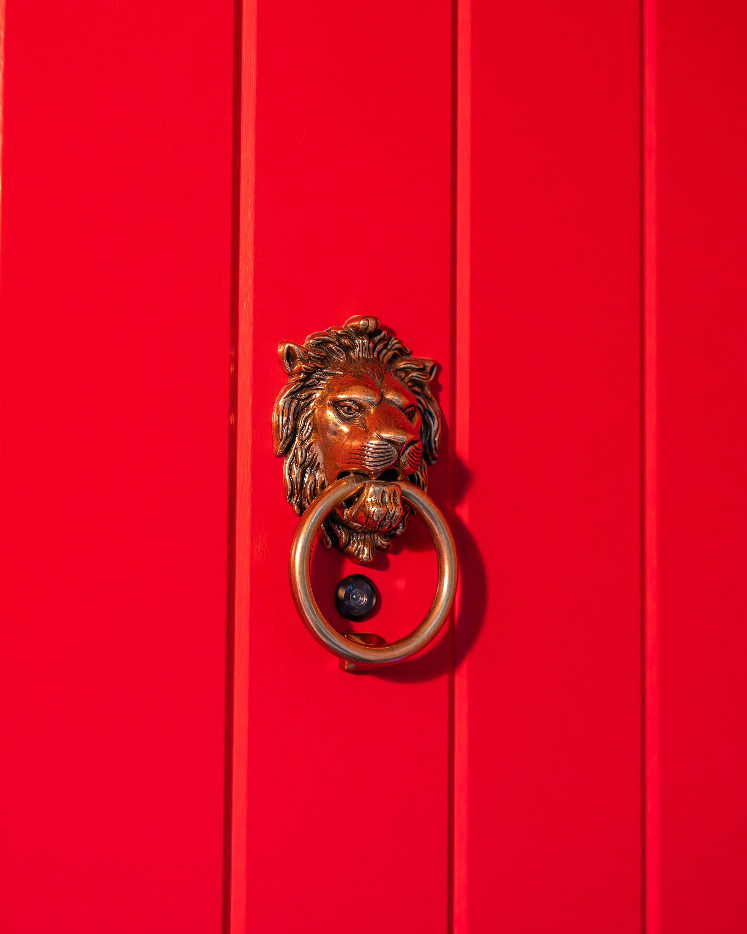 One Panel With Planks 8'