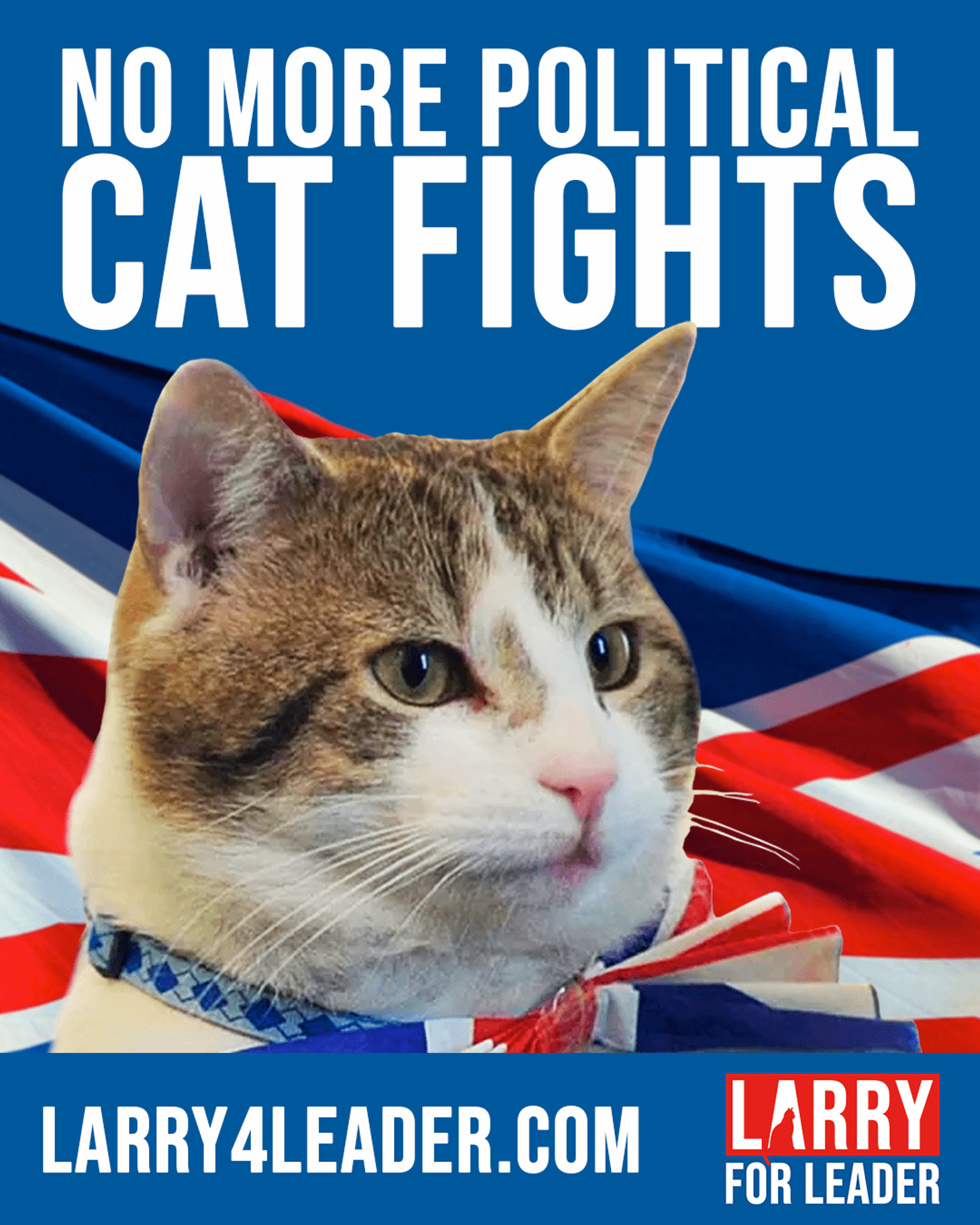 Larry for Leader campaign poster reading 'no more political cat fights'