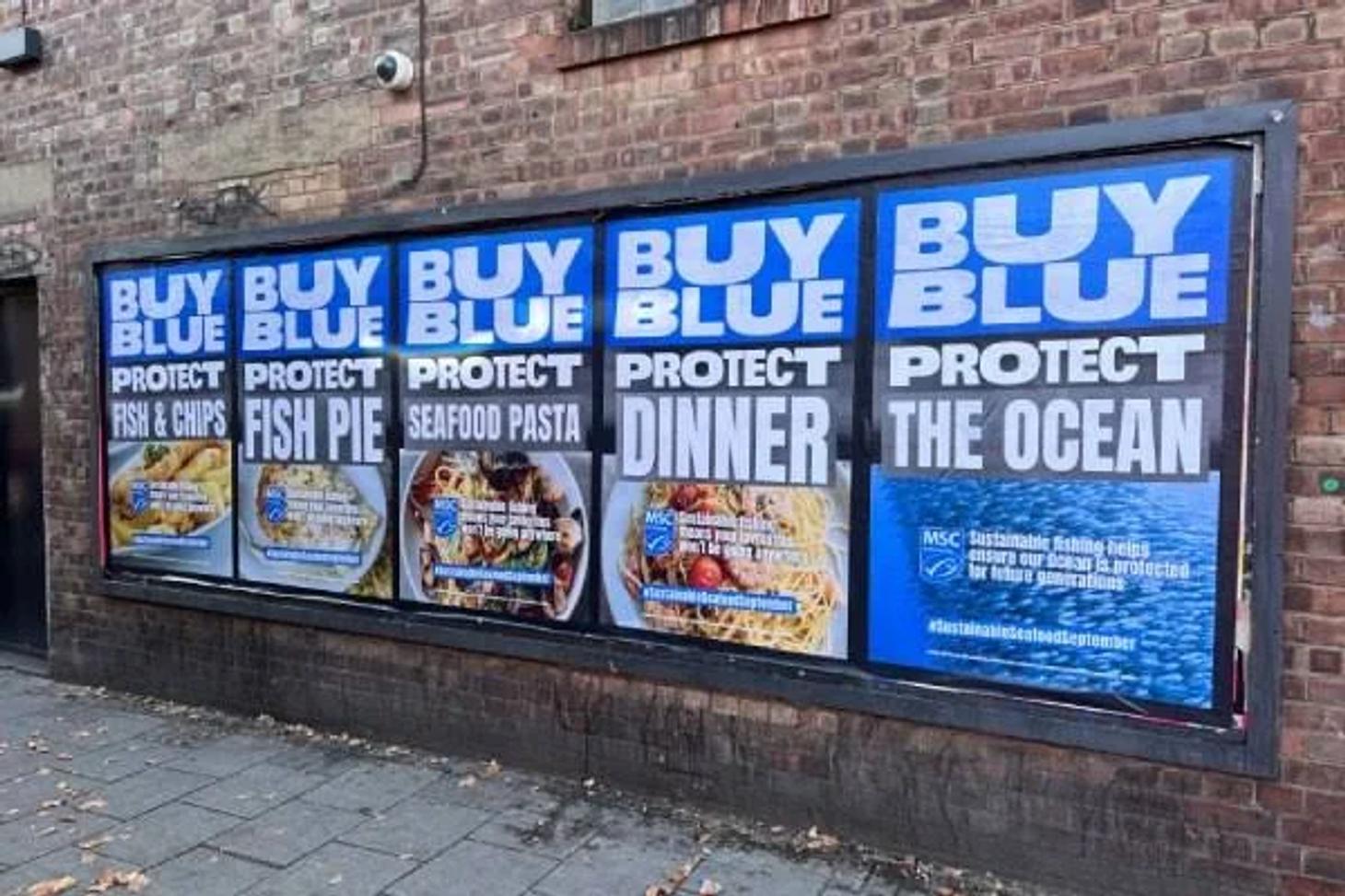 Row of MSC Buy Blue Protect Dinner posters pairing seafood dishes with the blue ecolabel