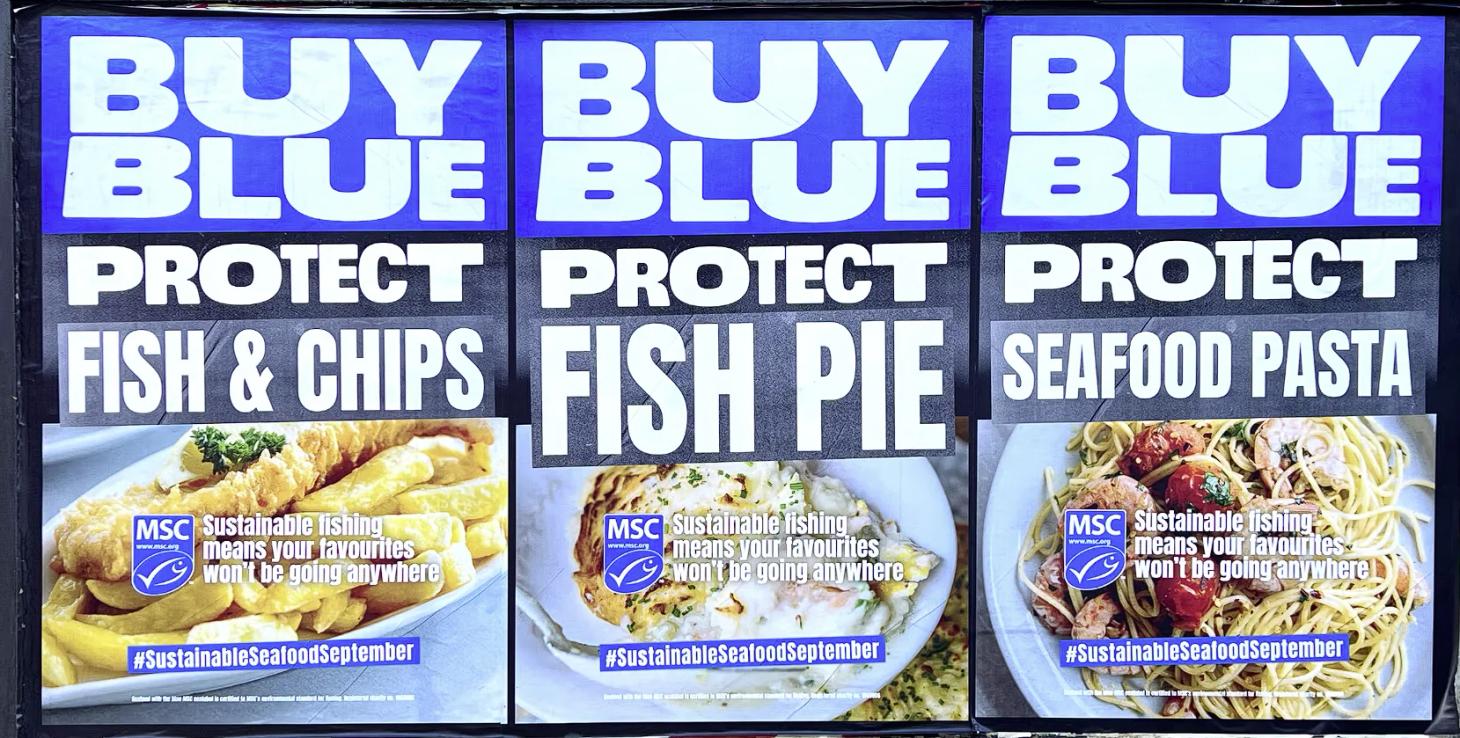  Image of three poster advertisements with images of fish dinners and text saying “Buy Blue, Protect Fish & Chips” etc.