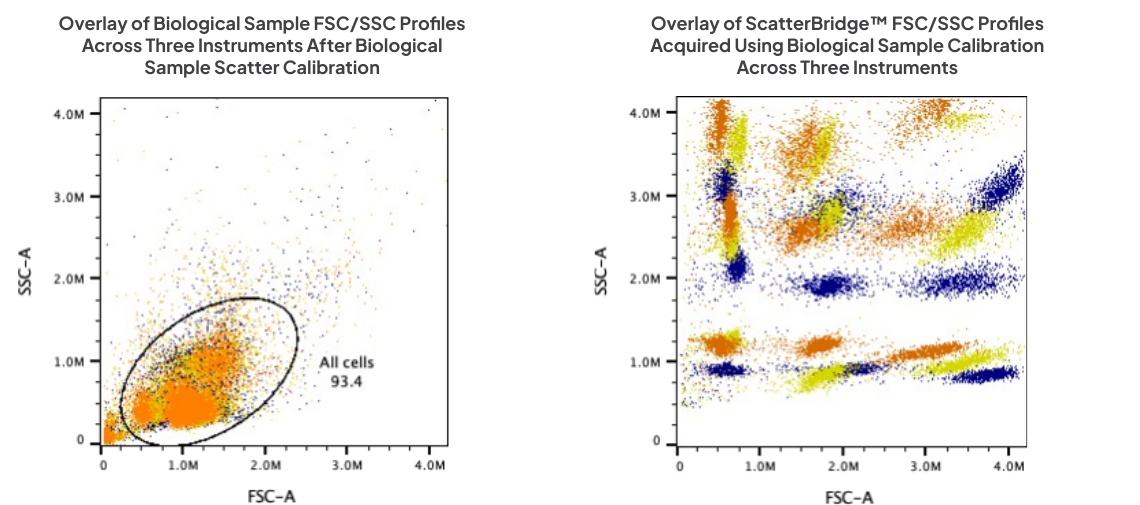 Overlaid FSC vs SSC plots from three instruments: the biological sample after calibration, and ScatterBridge acquired with those settings