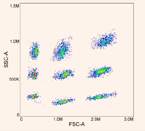 ScatterBridge FSC vs SSC dot plot with nine populations in a 3×3 grid