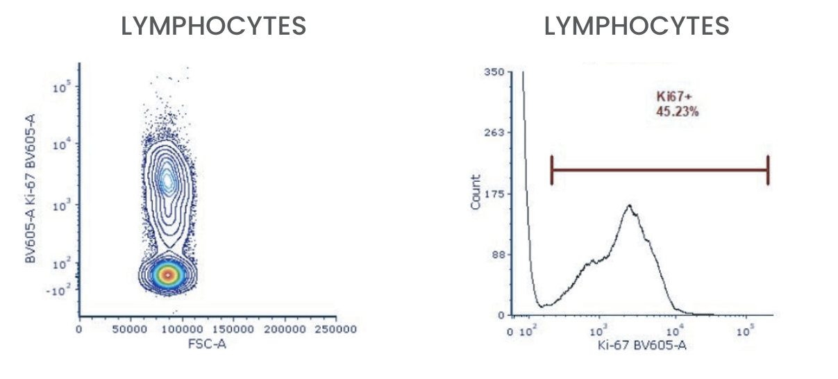 Figure 2: dot plot and histogram of the Slingshot Ki-67 cell mimic spiked into biological samples, with 45.23% of events in the Ki67+ gate