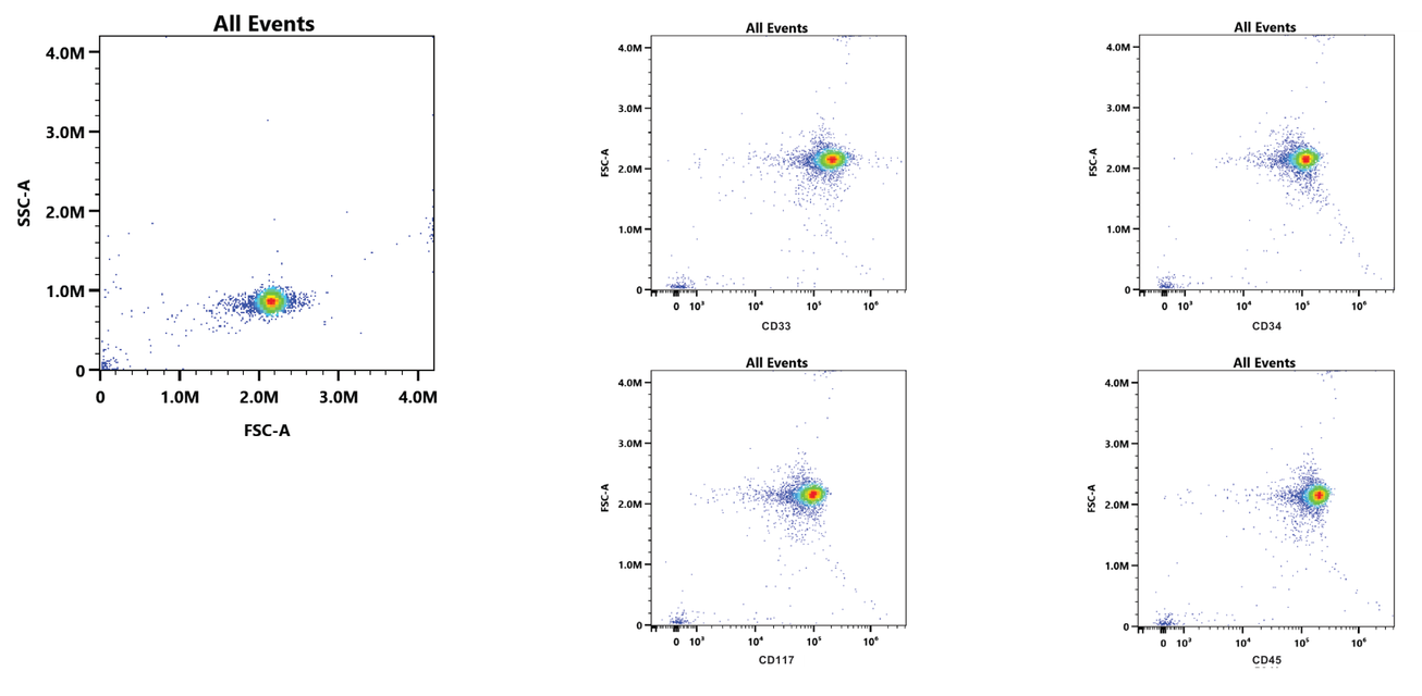 Figure 1: scatter plot of the AML cell mimic (SSC-A against FSC-A) and four plots showing high expression of CD33, CD34, CD117 and CD45