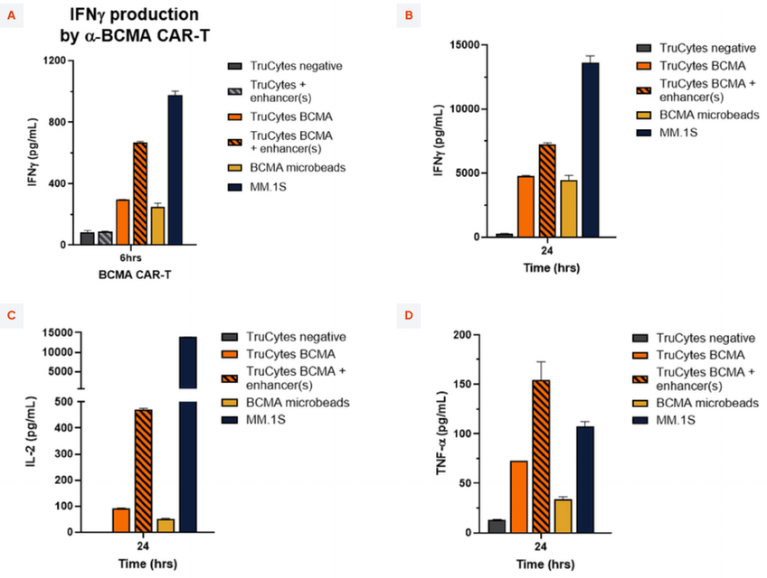 IFNγ production by α-BCMA CAR-T at 6 hours and 24 hours, and IL-2 and TNF-α at 24 hours