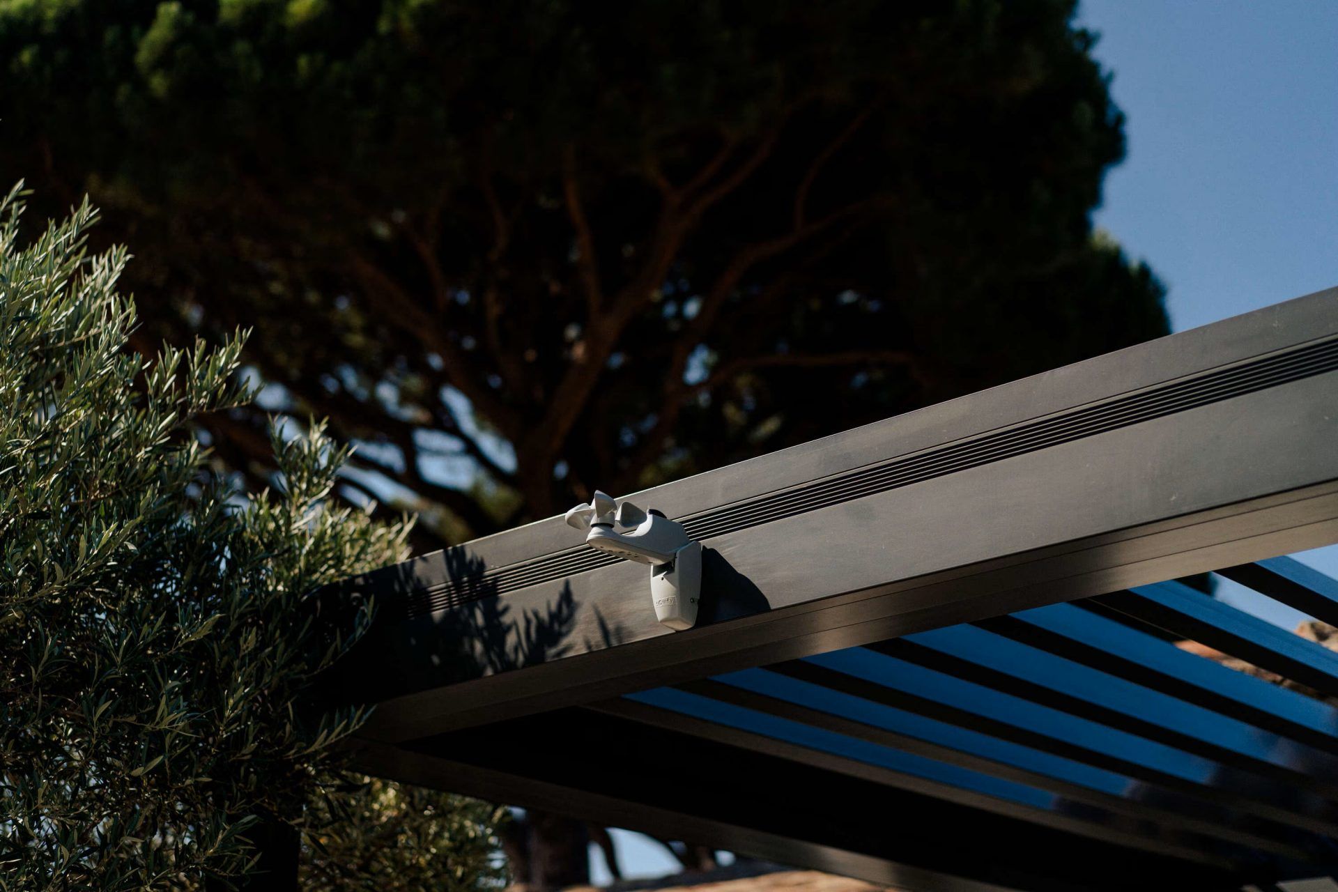 Sonnen- und Windsensor Somfy Soliris an der Struktur einer Pergola, unter einer großen Kiefer