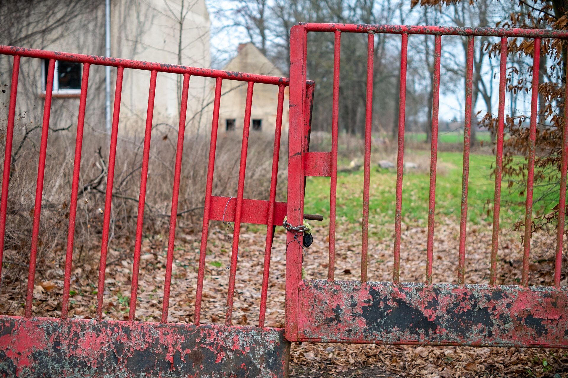 Old red two-leaf metal gate with peeling paint, held shut by a padlocked chain