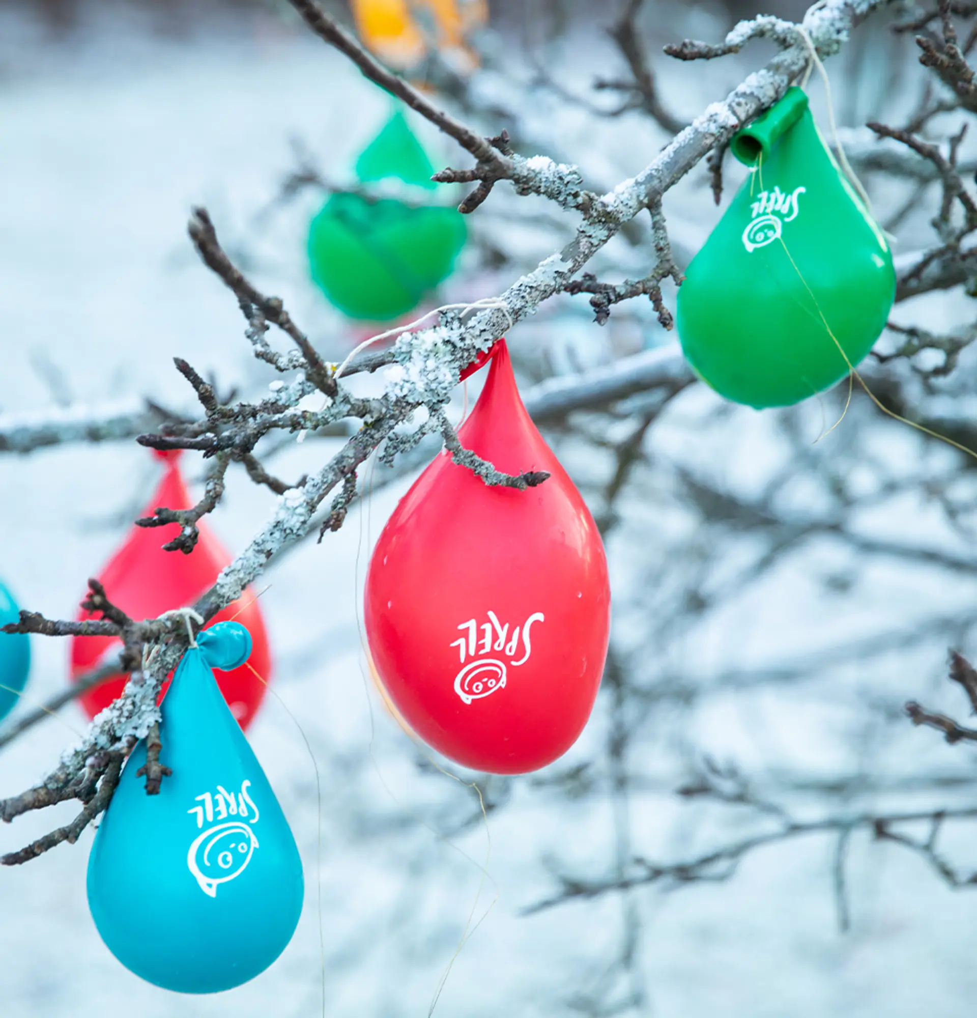 Fotografi av ballonger fylt med vann hengende på treet, klare for nedfrysning.