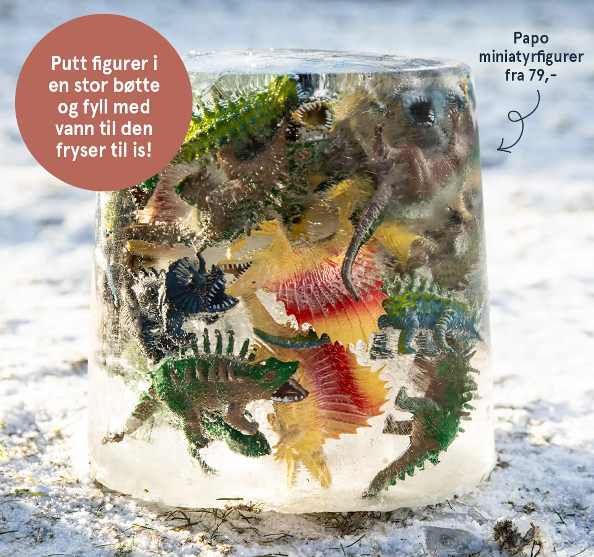 Fotografi av lekefigurene og vannet ferdig nedfryst. Her kommer dinosaurene til syne fra isen.
