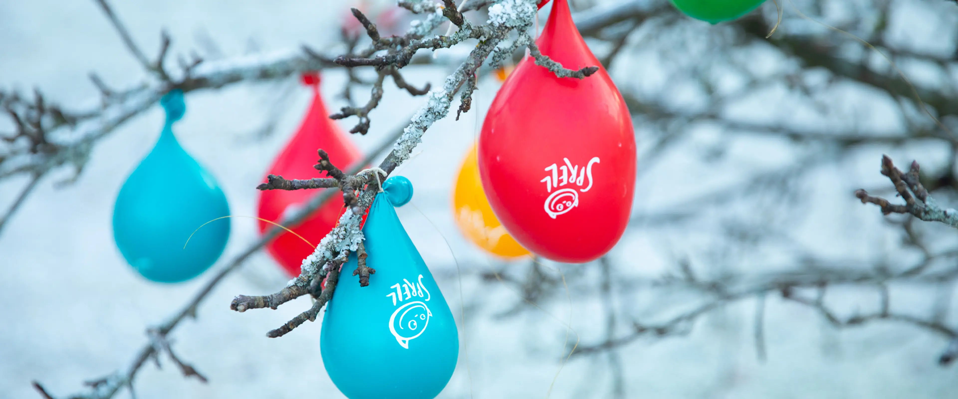 Fotografi av ballonger fylt med vann hengende på treet, klare for nedfrysning.
