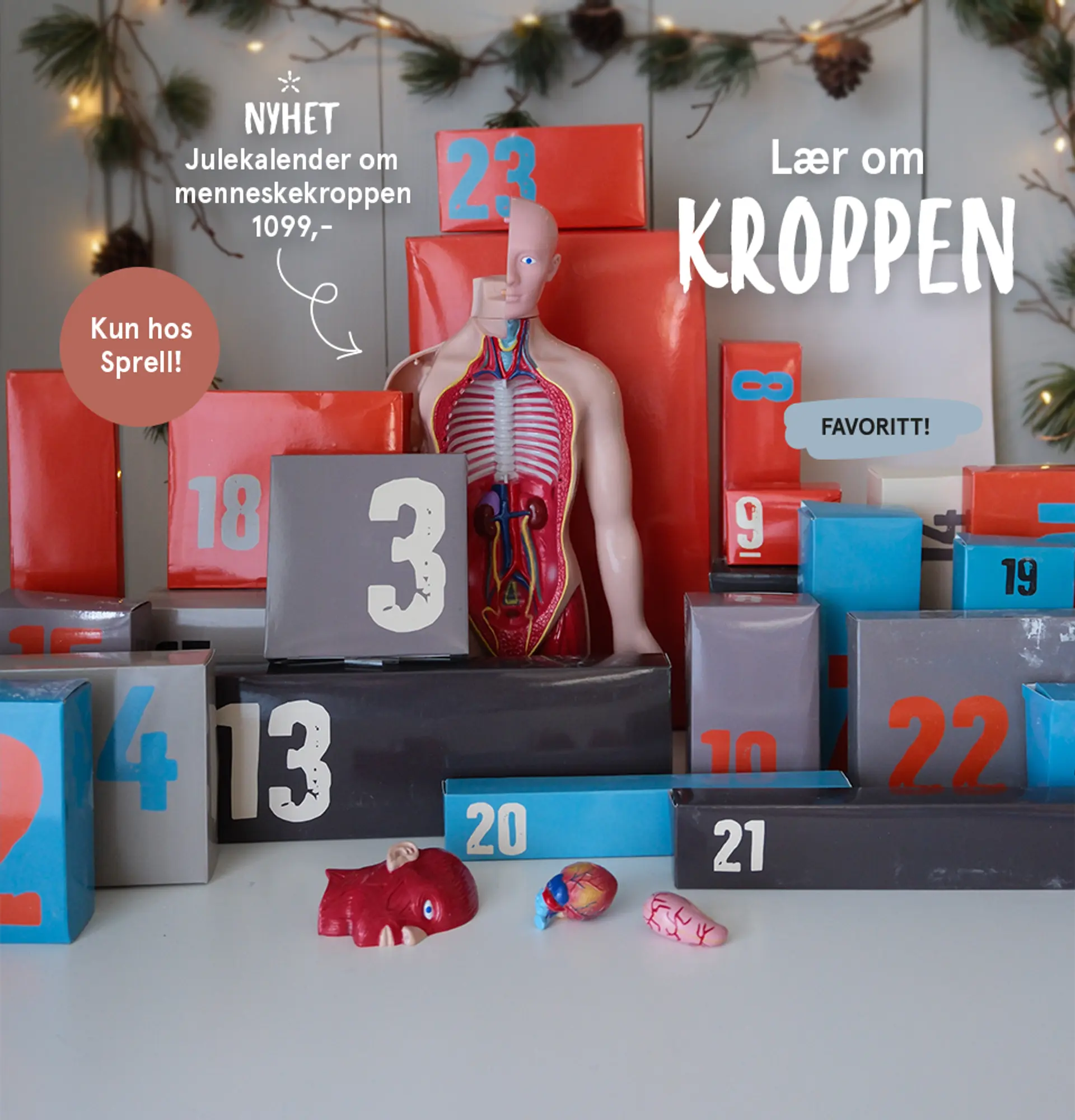 Lær om kroppen! Nyhet: Julekalender om menneskekroppen, 1099,- - kun hos Sprell!