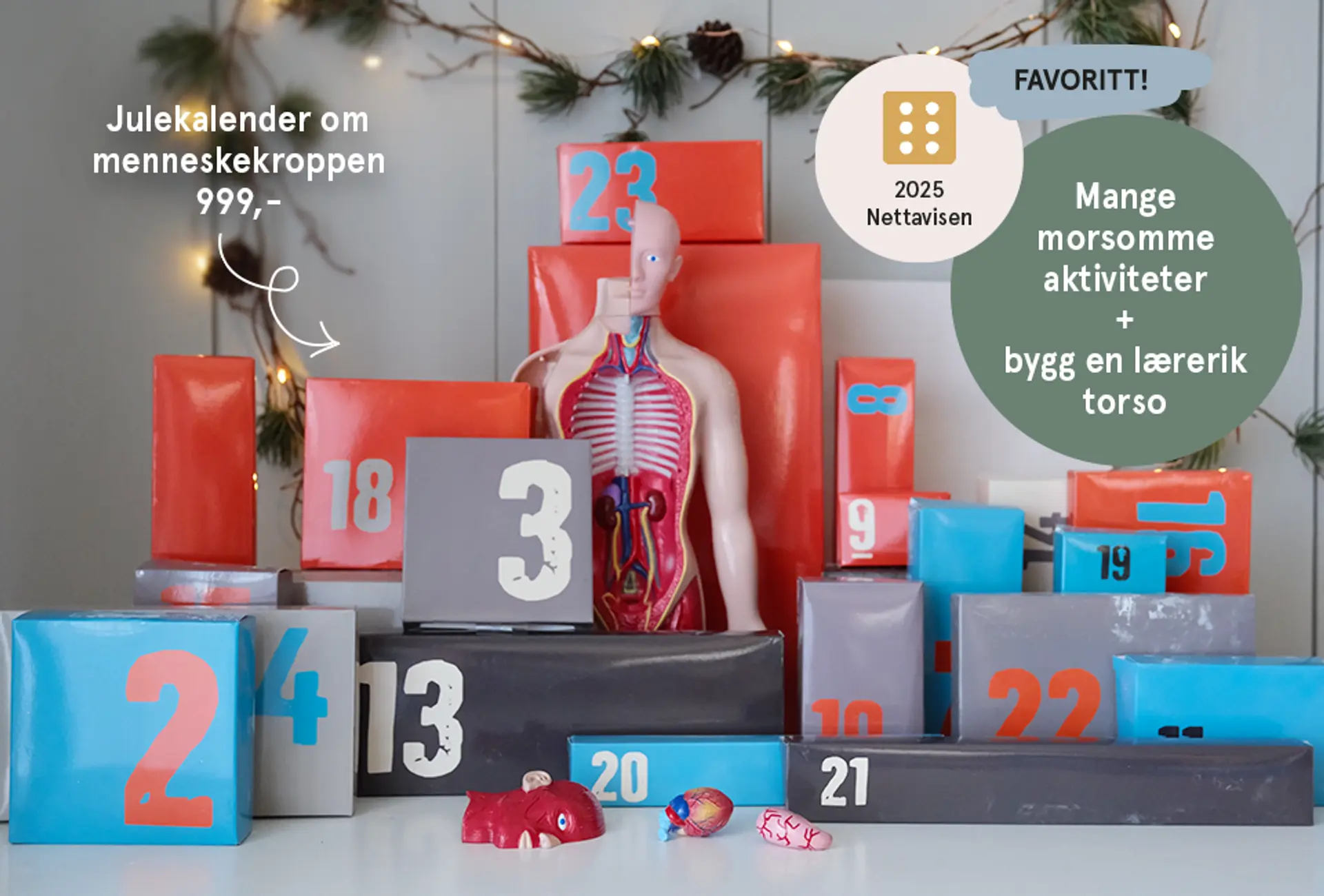 Nyhet! Julekalender om menneskekroppen - favoritt. Best i test! Nettavisen nov. 2025. Mange morsomme aktiviteter + bygg en lærerik torso. Fotografi av julekalenderen,