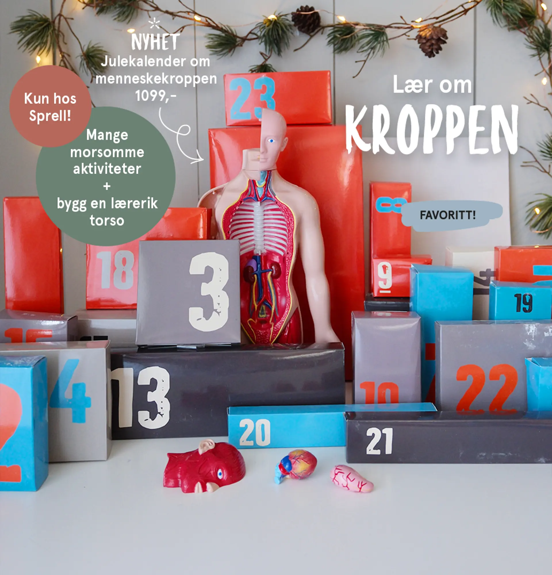 Lær om kroppen! Nyhet: Julekalender om menneskekroppen, 1099,- - kun hos Sprell!