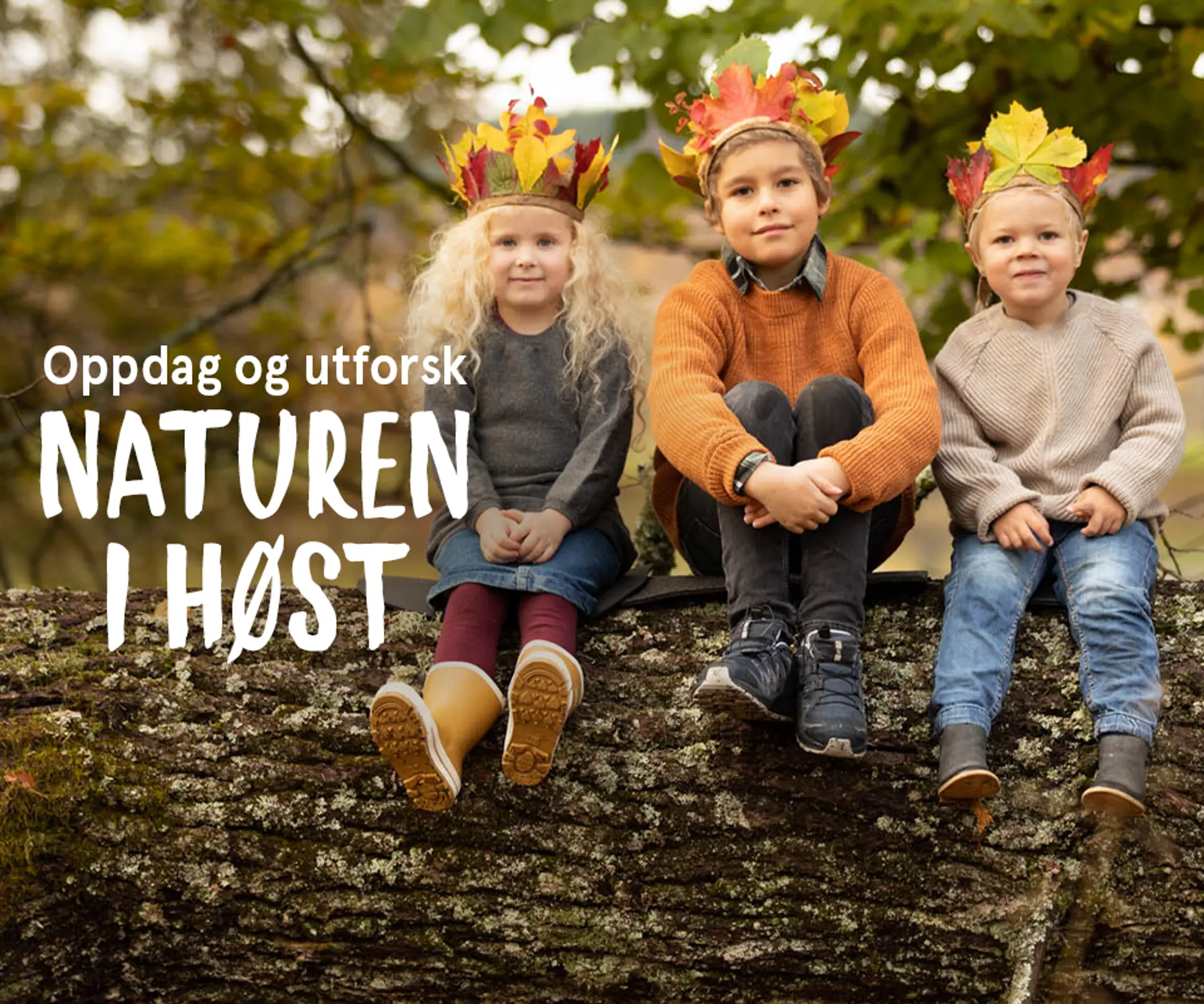 Oppdag og utforsk naturen i høst. Ta med noe morsomt på høstturen! Fotografi av barn sittende på en tømmerstokk med løvkroner.