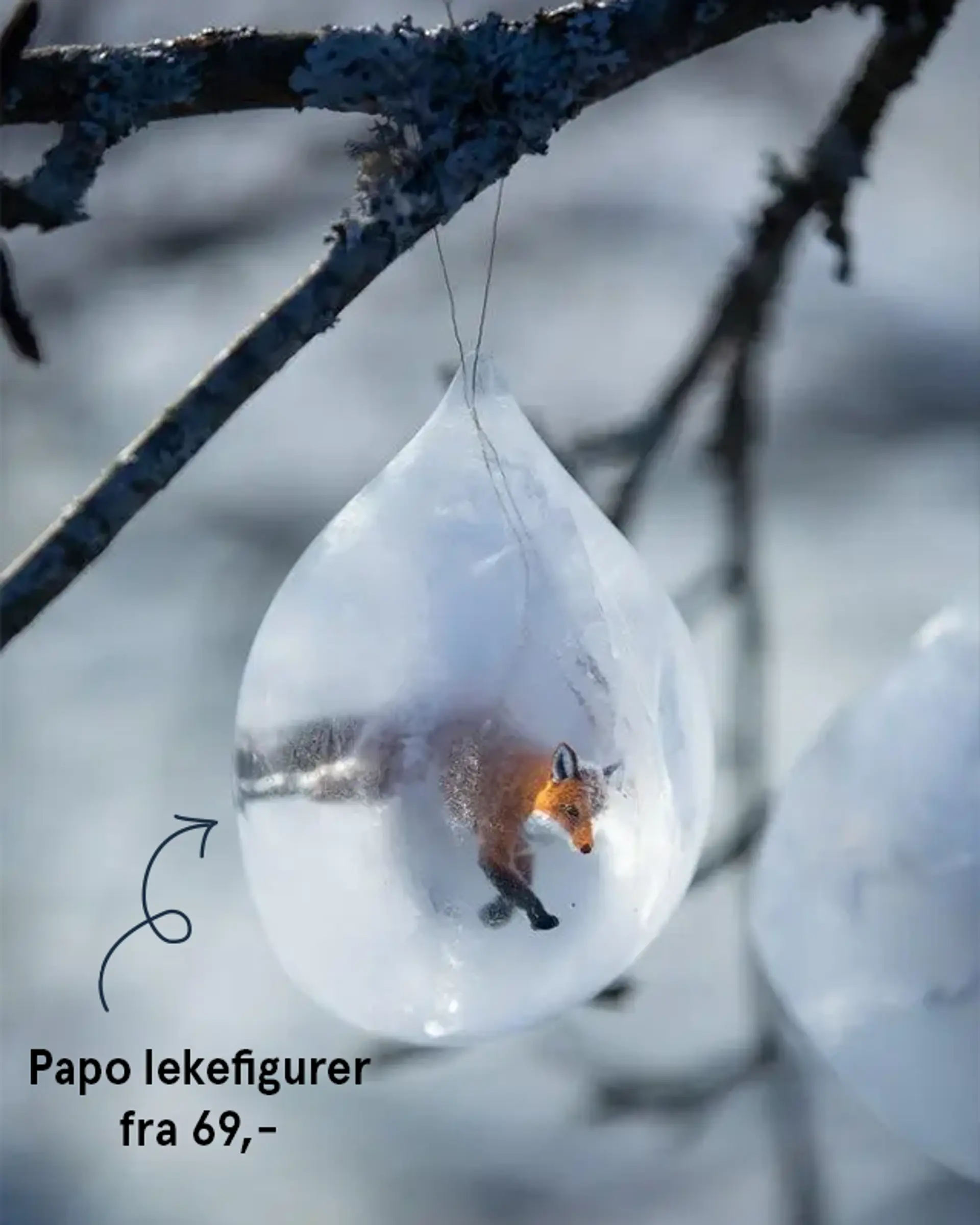 Iskulene er ferdig nedfryst og ballongen tatt av. Her kommer en lekefigur-rev til syne i iskulen.