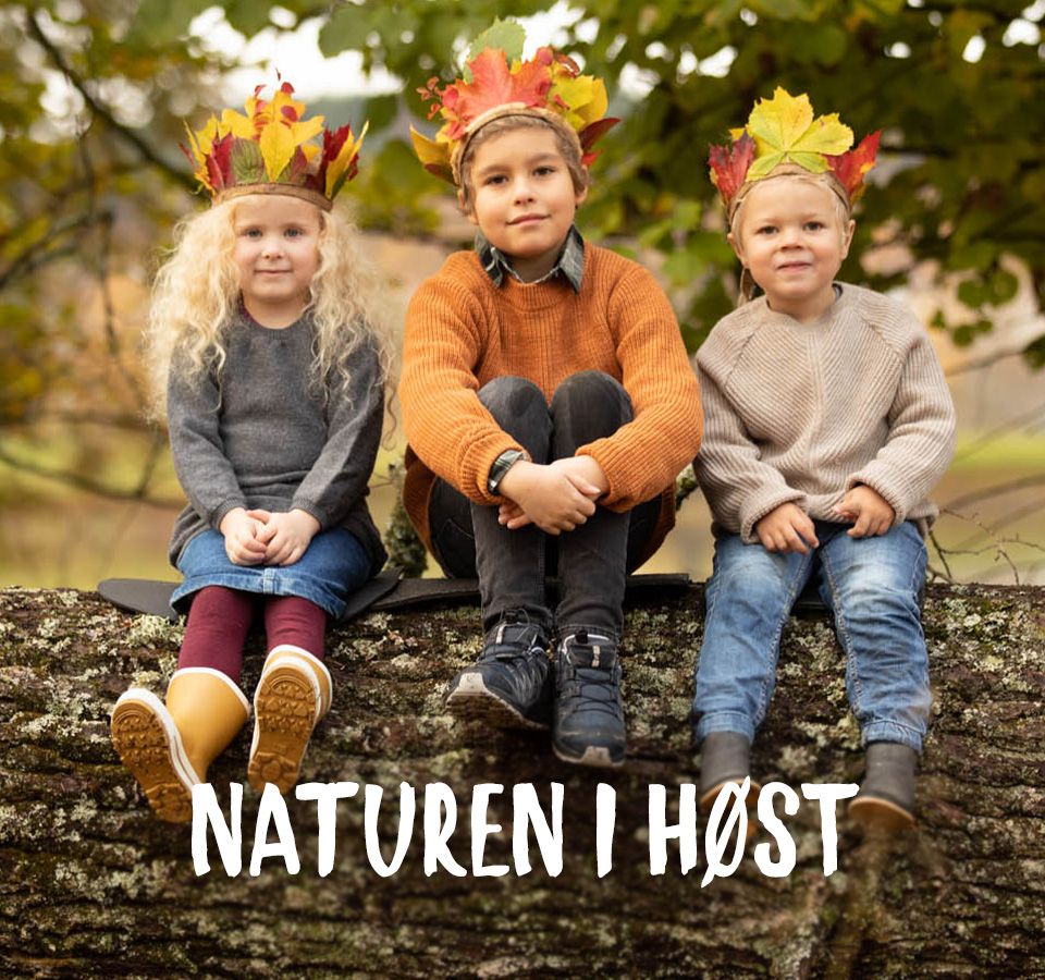 Tid for herlig høstkos