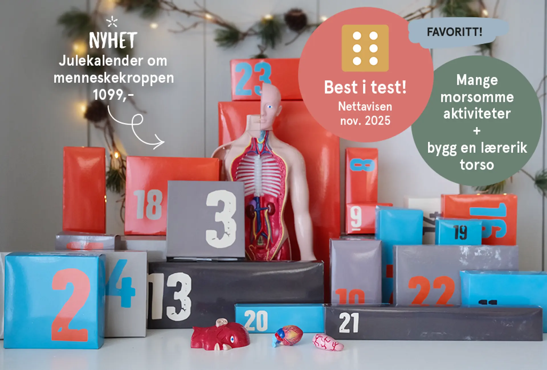 Nyhet! Julekalender om menneskekroppen - favoritt. Best i test! Nettavisen nov. 2025. Mange morsomme aktiviteter + bygg en lærerik torso. Fotografi av julekalenderen,