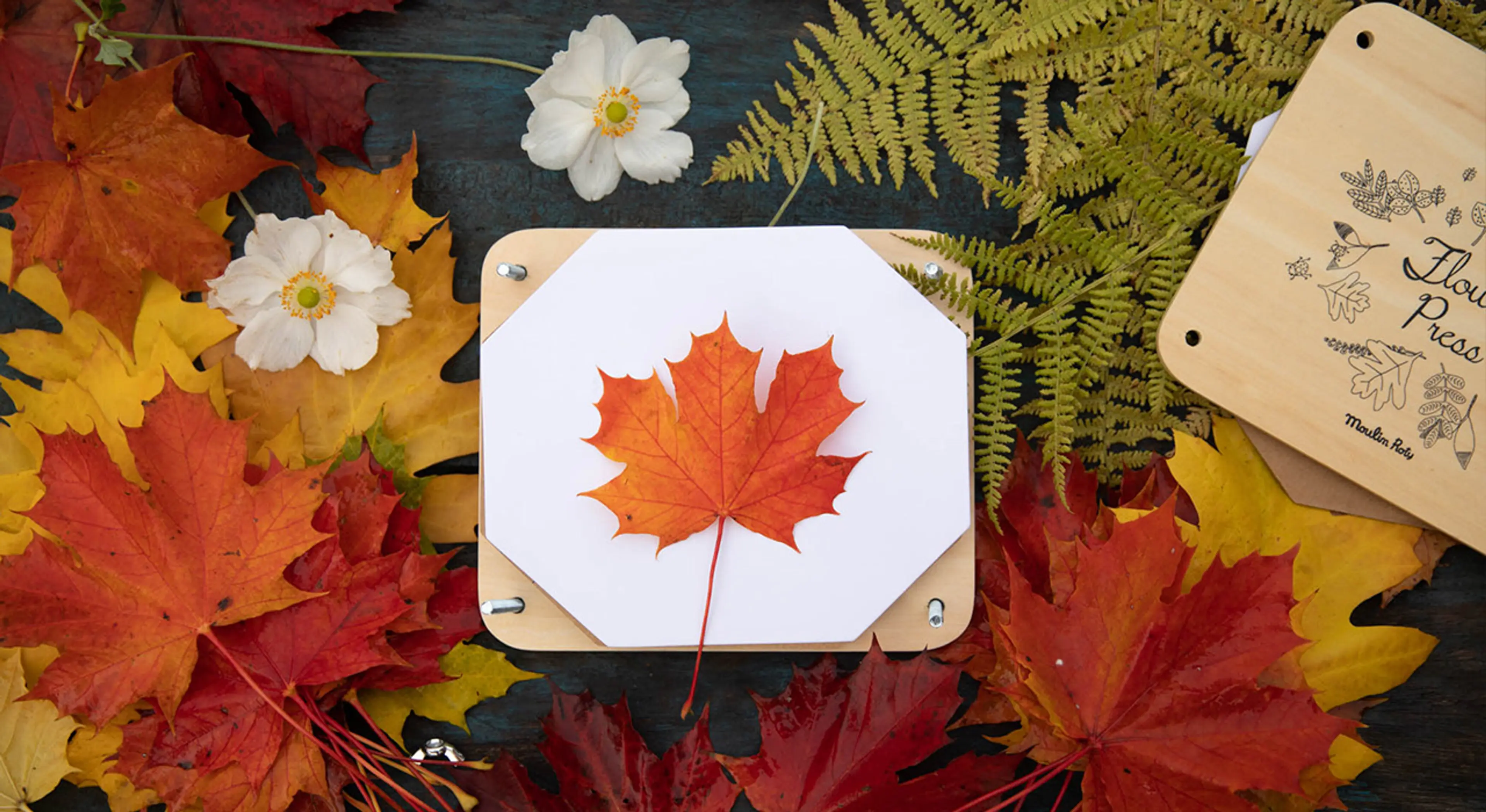 Tid for herlig høstkos