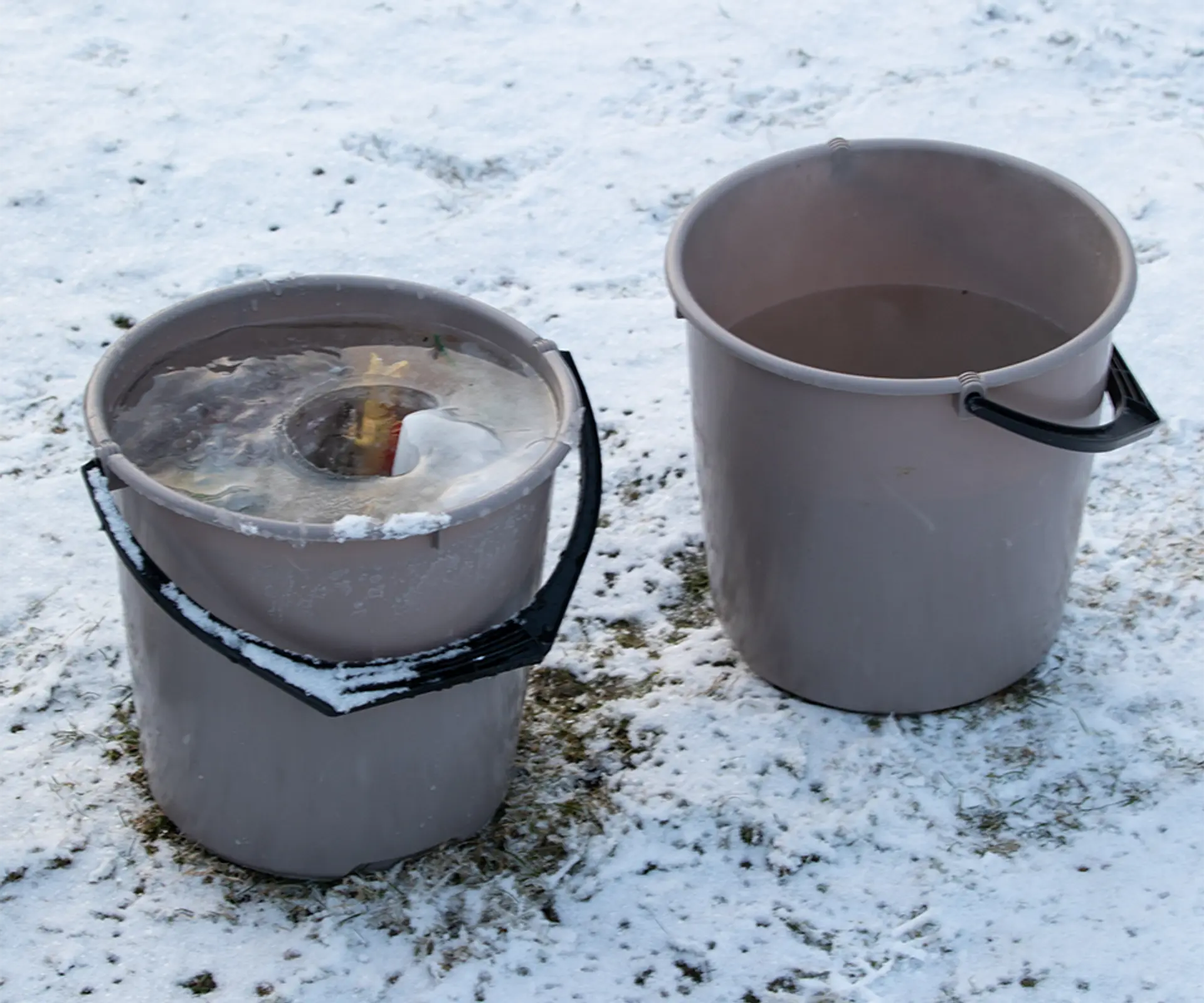 Fotografi av lekefigurene og vann i bøtter, klare for nedfrysning.