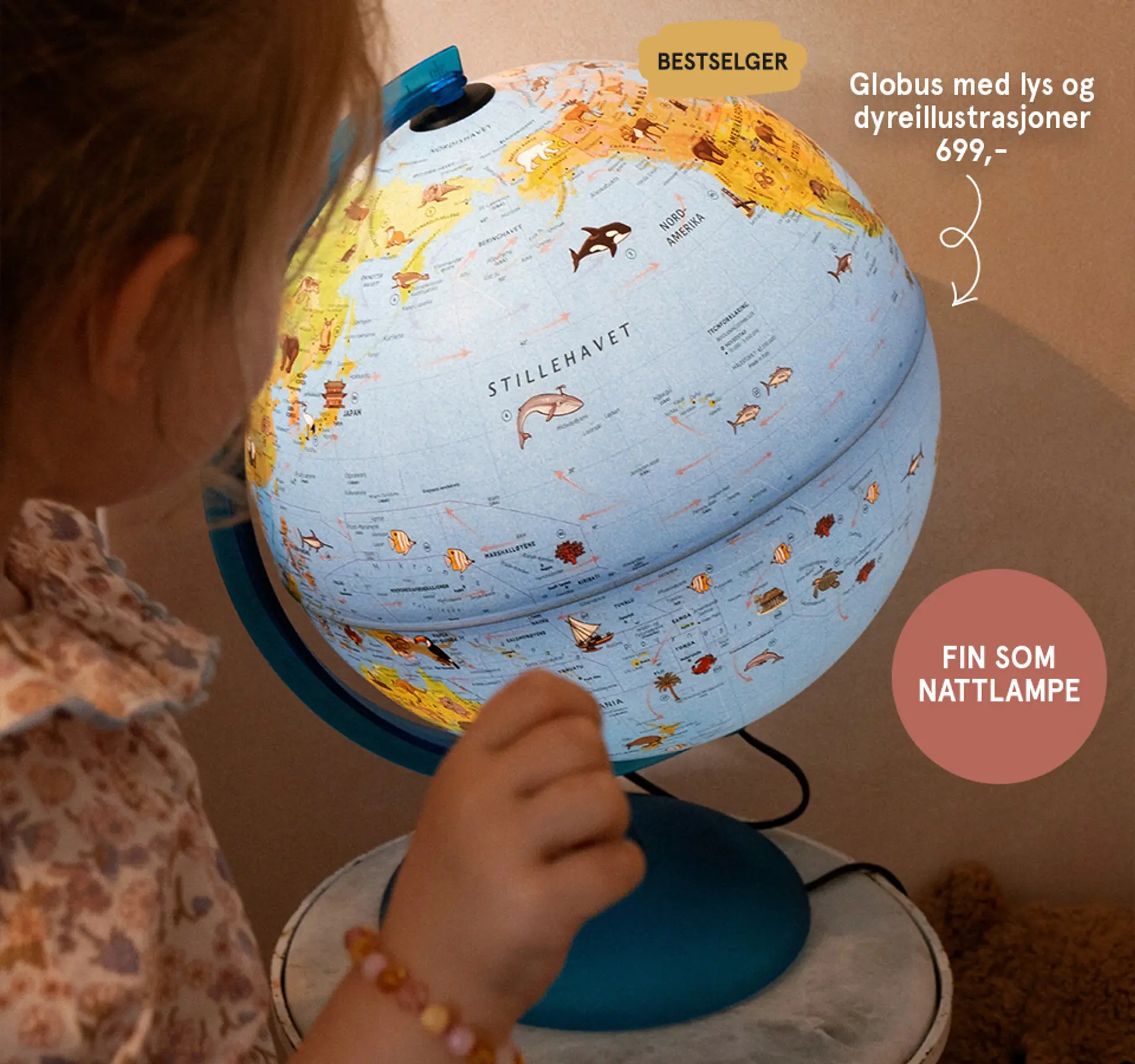 Fotografi av Aykasa oppbevaringsbokser.