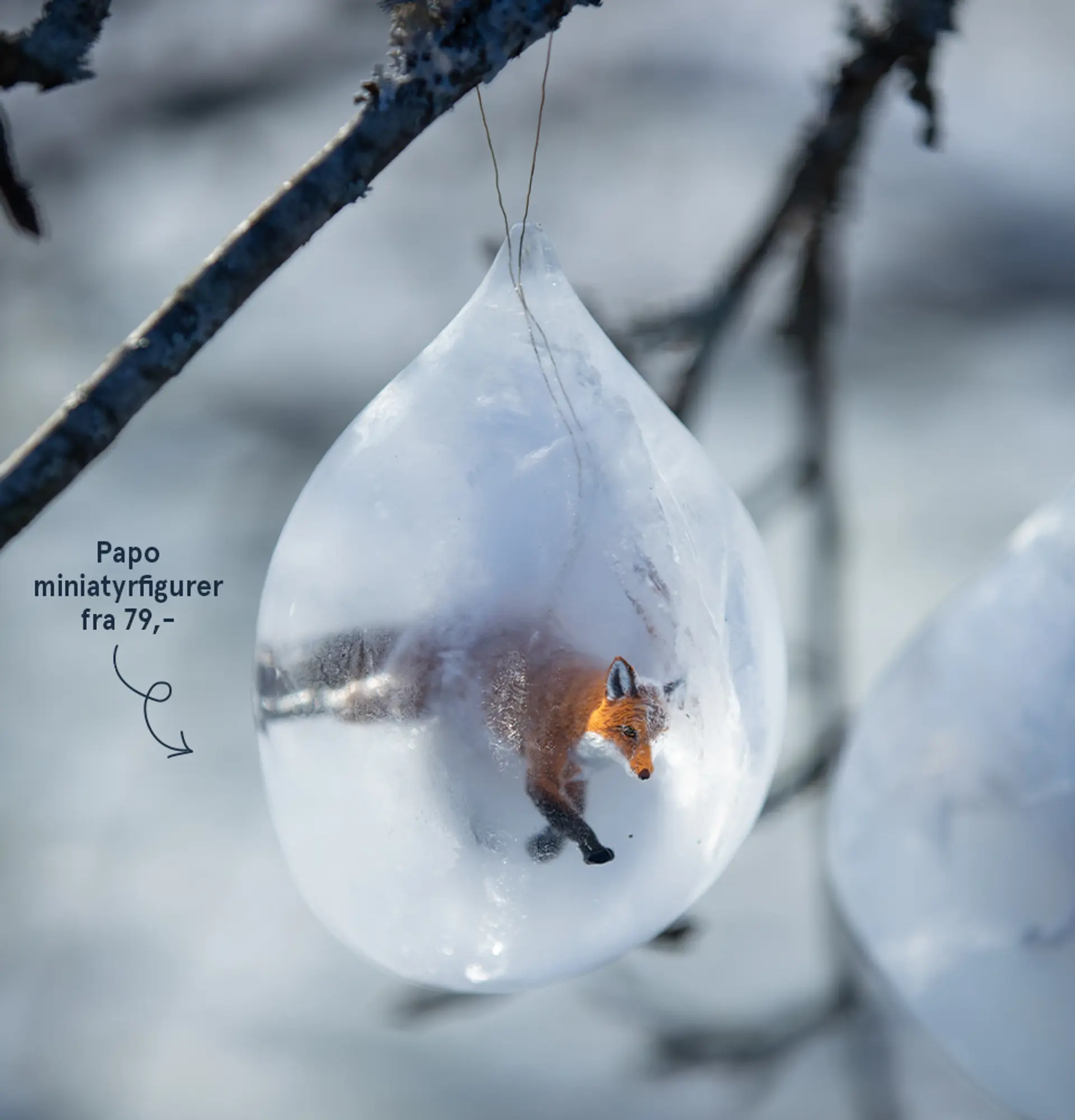 Fotografi av iskulene ferdig nedfryst og ballongen tatt av. Her kommer en lekefigur-rev til syne i iskulen.