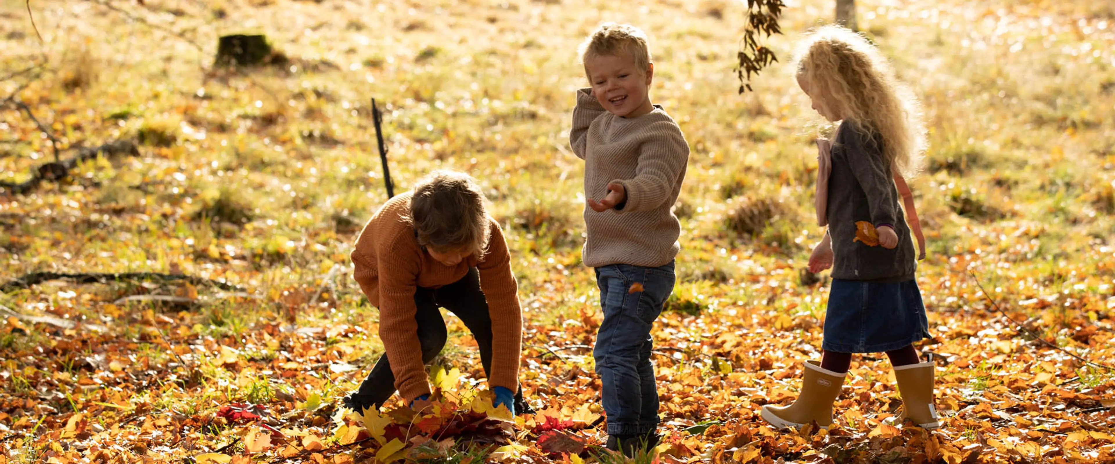 Fotografi av barn som leker med løv.