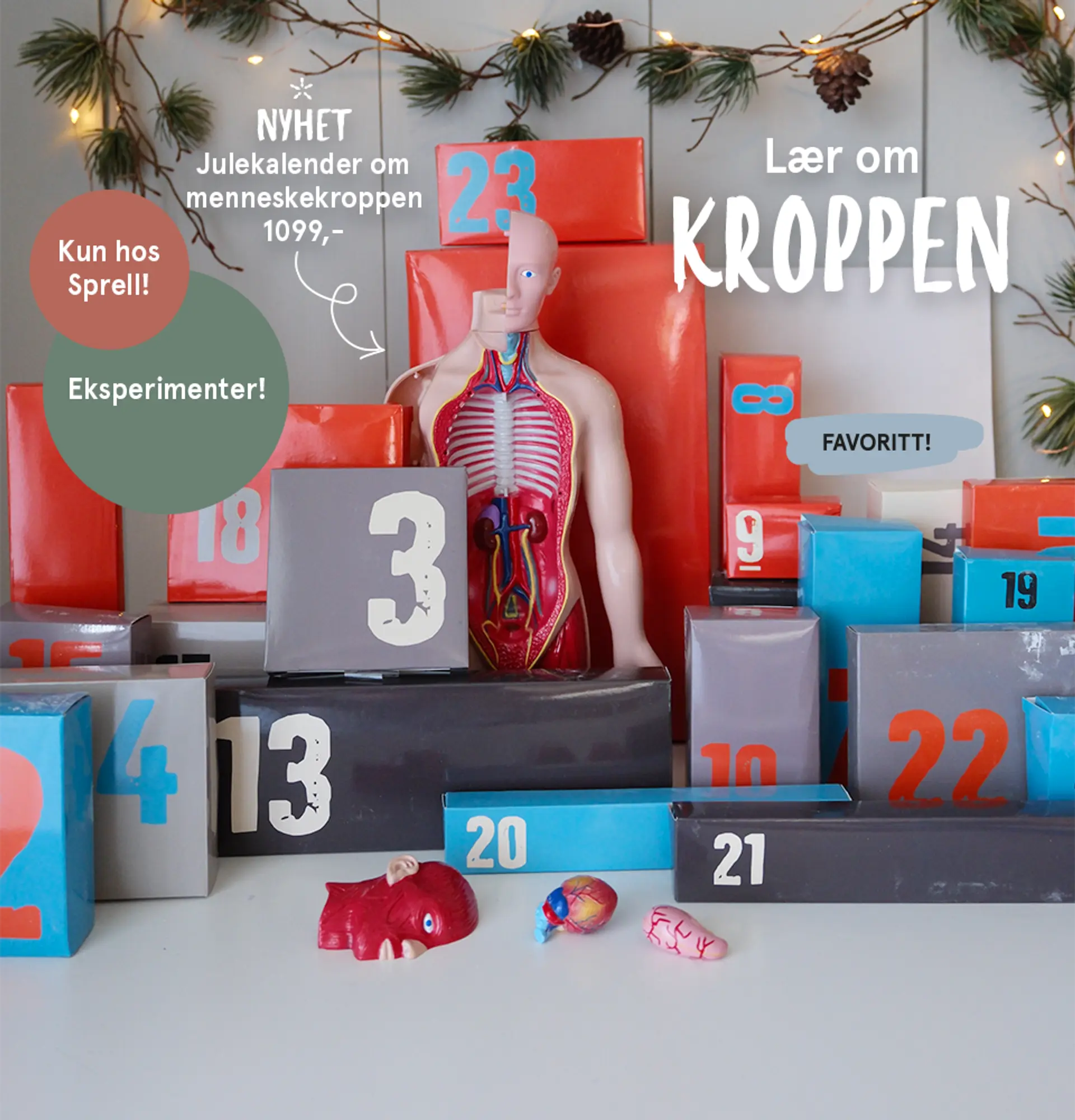 Lær om kroppen! Nyhet: Julekalender om menneskekroppen, 1099,- - kun hos Sprell!