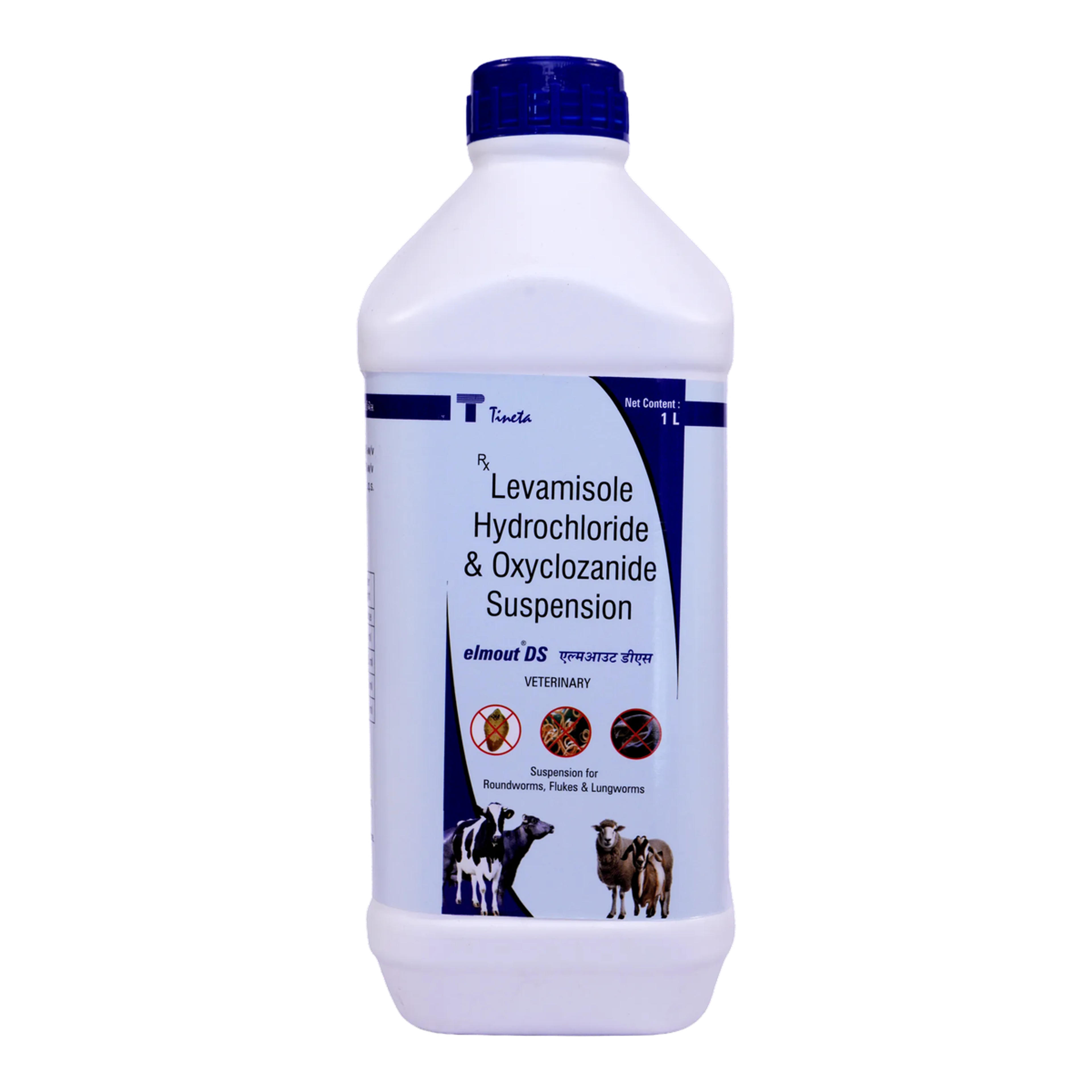 Elmout(Bolus & DS Suspension) 3