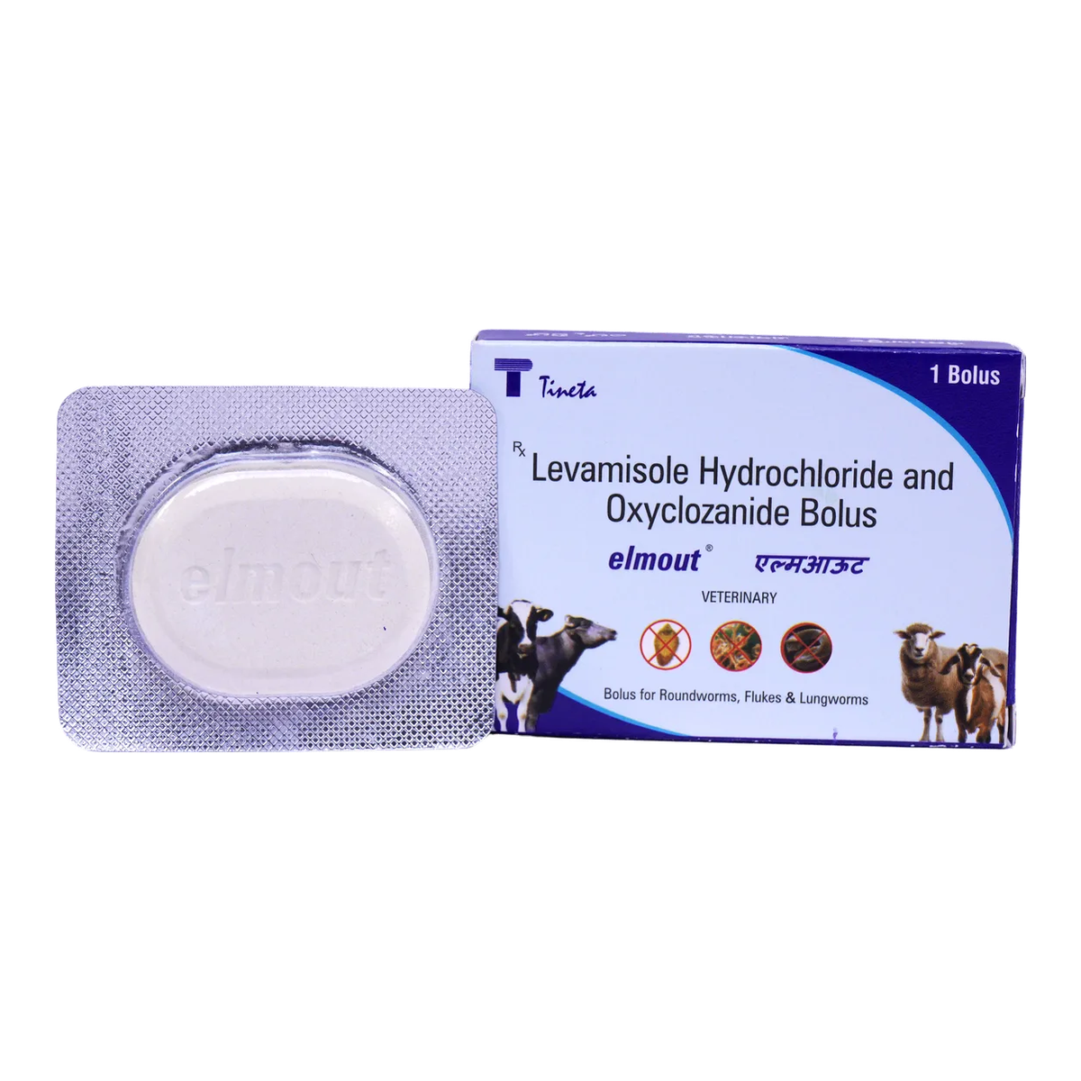 Elmout(Bolus & DS Suspension)