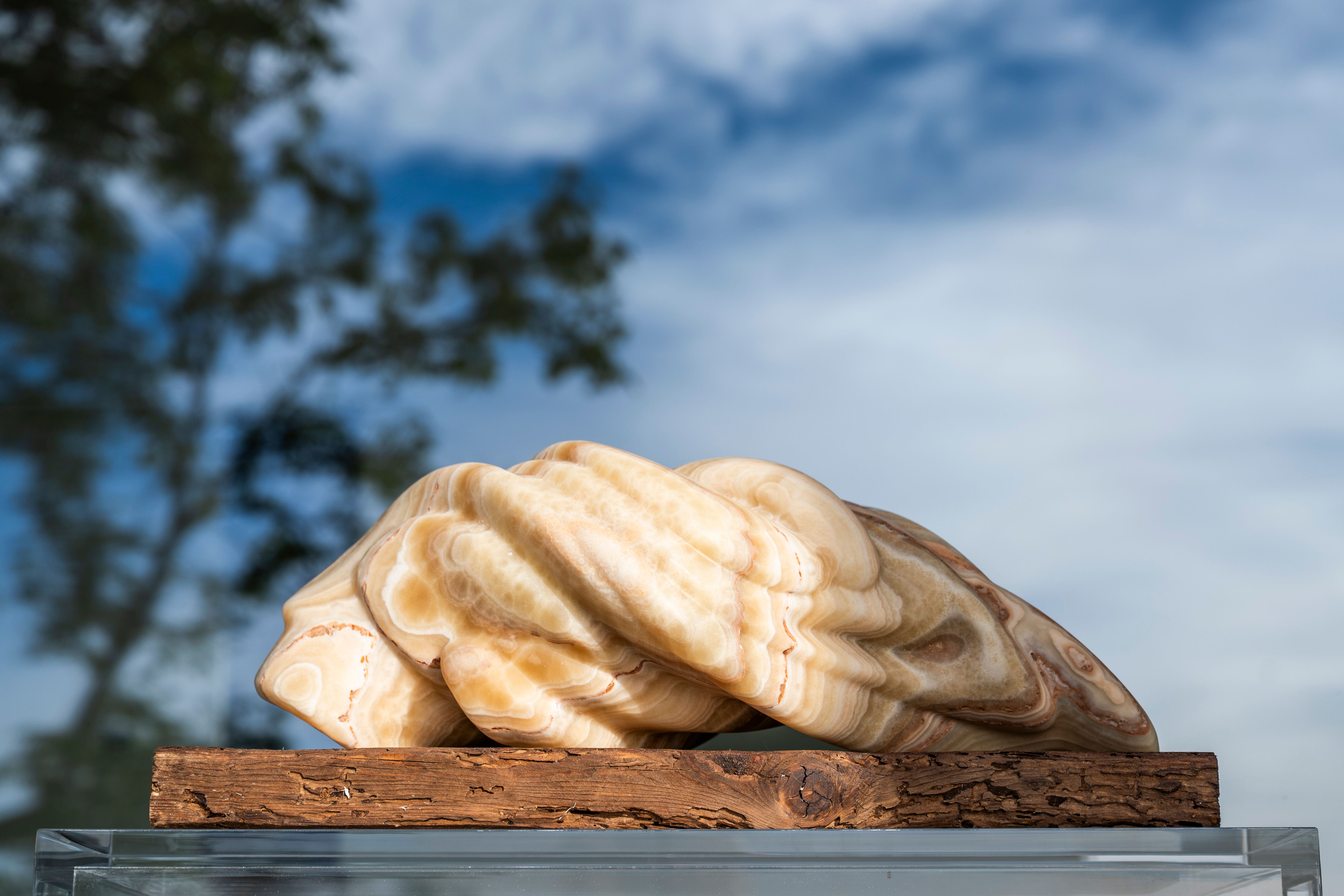 Sculture in casa d'artista