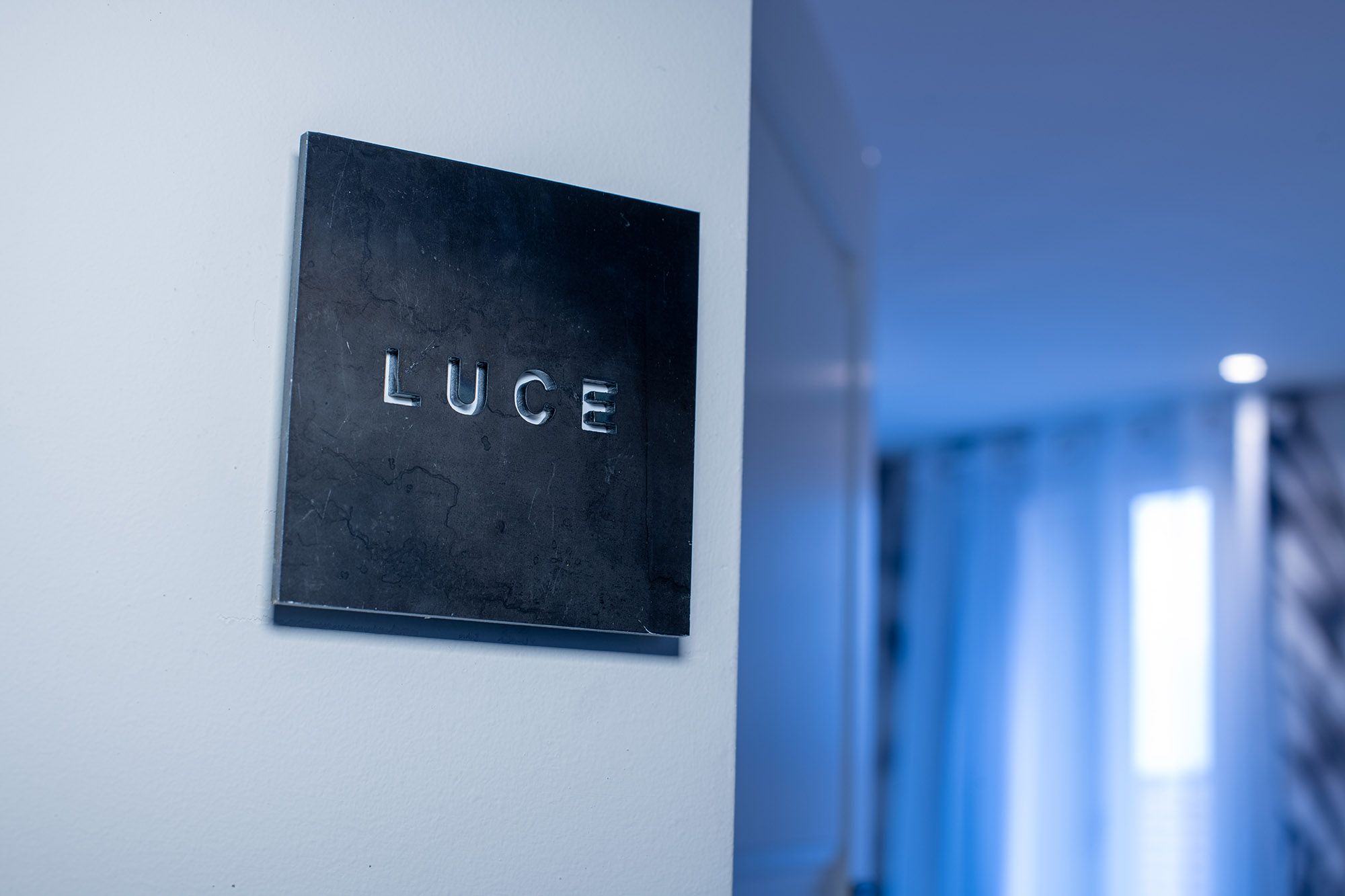 Luce - Seta di Lago