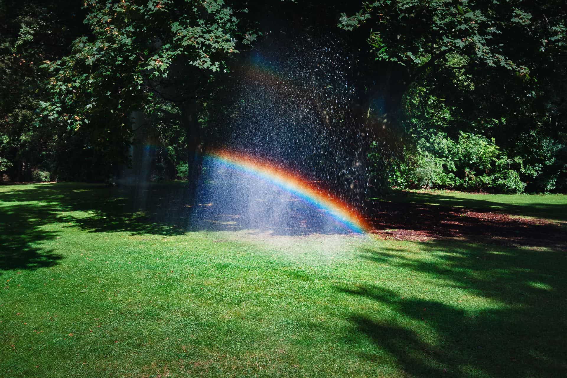 Green Equals Green: 5 Ways Your Watered Lawn Adds Value