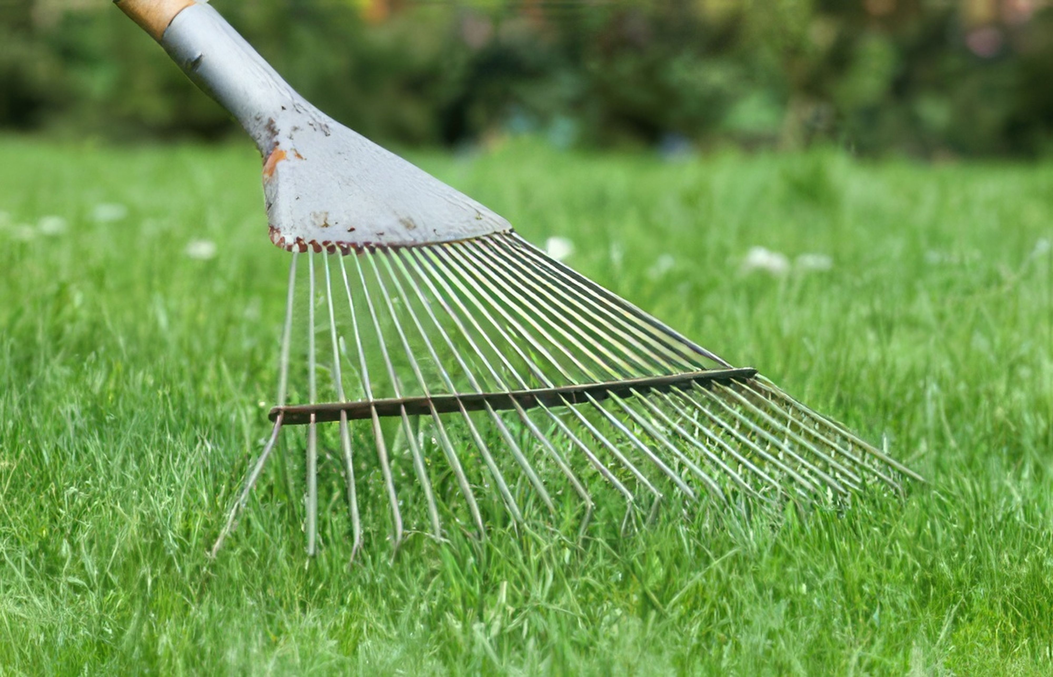 Aeration and Over-Seeding~What are they?