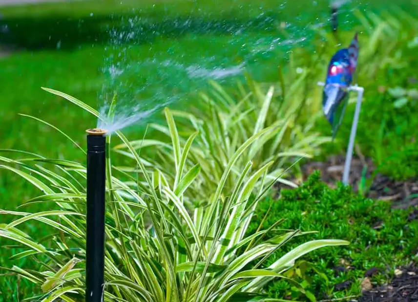 Irrigation Systems 07