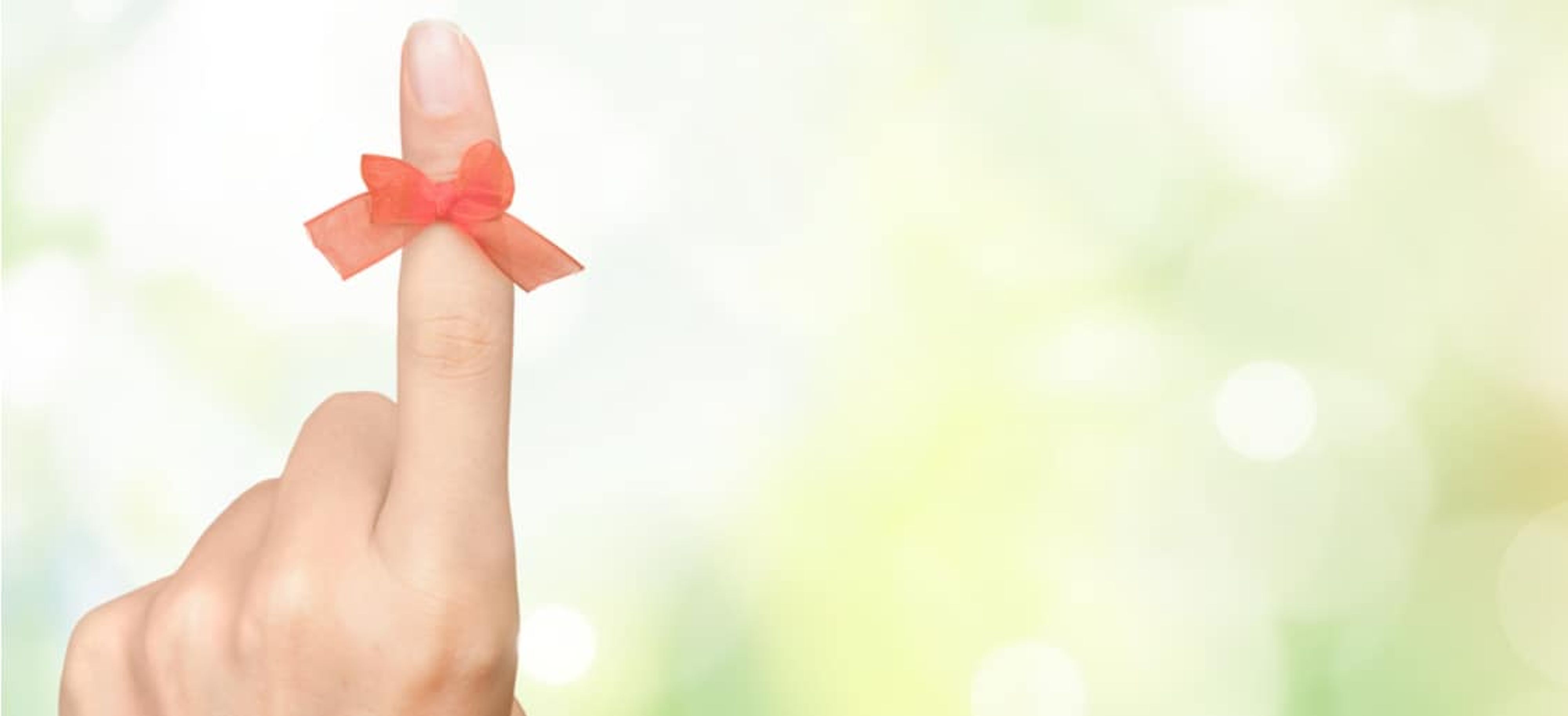 New Year’s Resolution – The Importance of Reminders (for you AND for your lawn!)