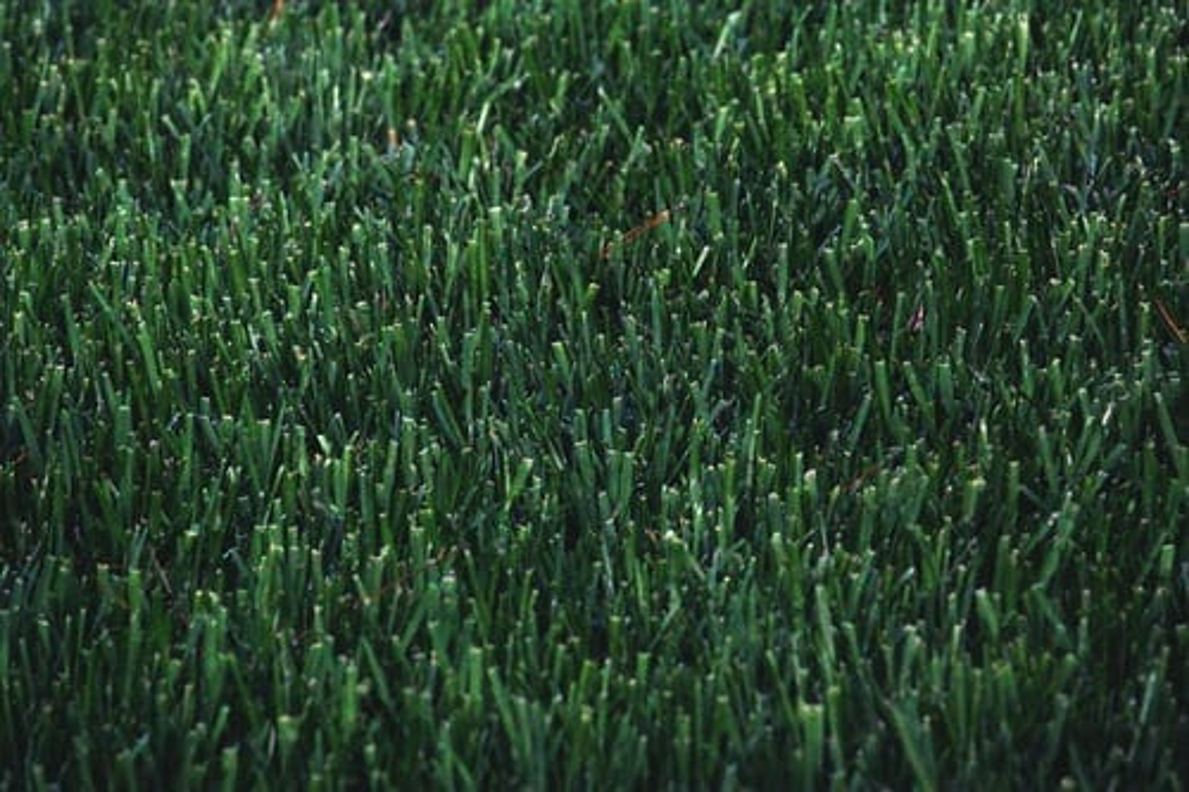7 Reasons to Consider Artificial Turf in Northern Virginia