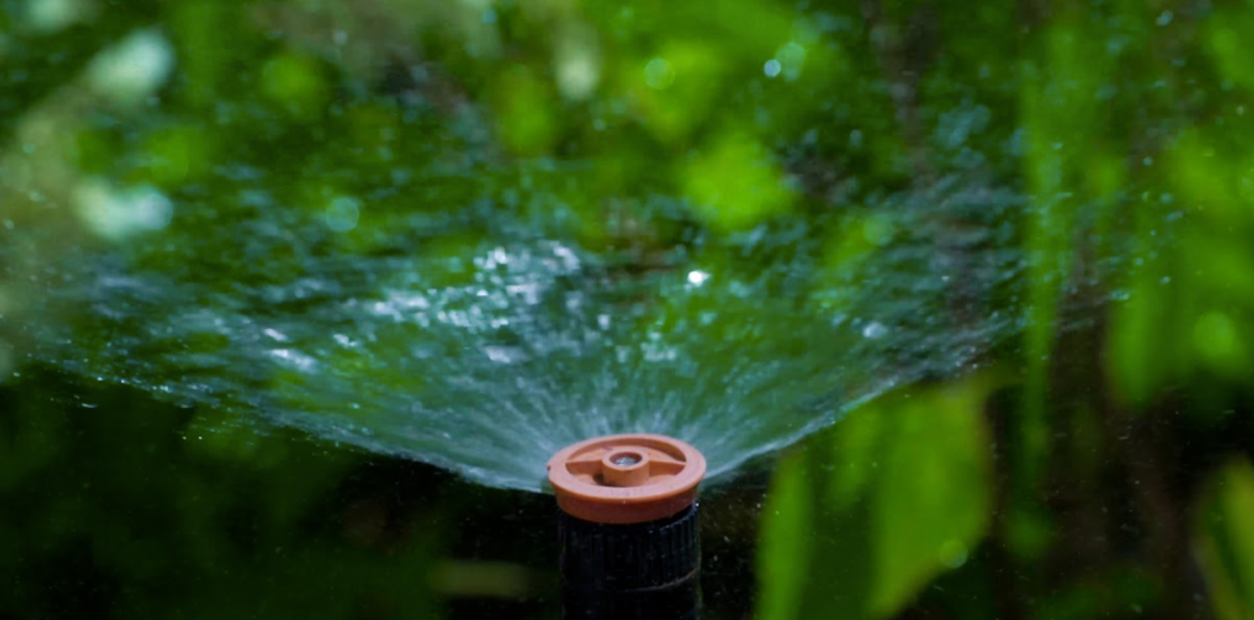 Spring Lawn Sprinkler System Activation