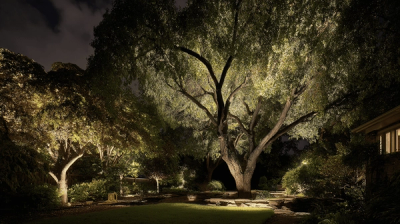The Art of Tree Uplighting in Ashburn, Leesburg & Loudoun County: Transforming Northern Virginia Landscapes After Dark