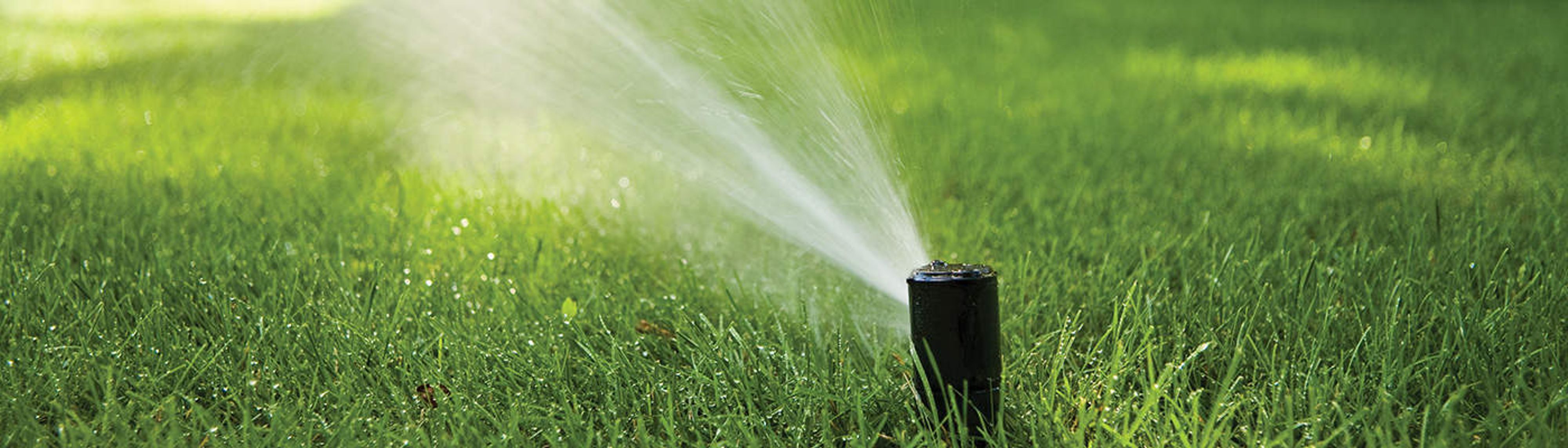 Northern Virginia Lawn Sprinkler Turn-On Service!